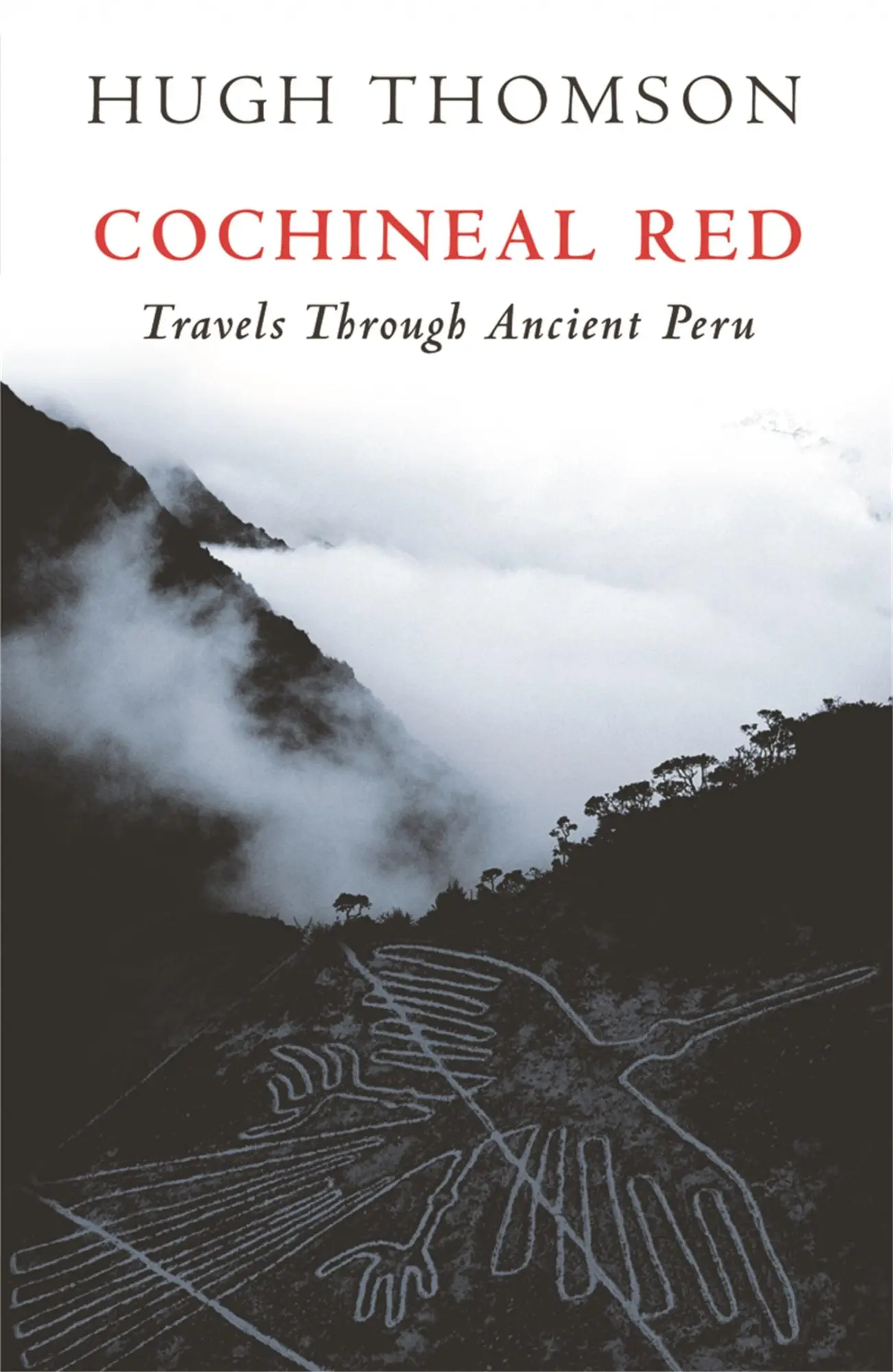 Cover: 9780753822074 | Cochineal Red | Hugh Thomson | Taschenbuch | Kartoniert / Broschiert