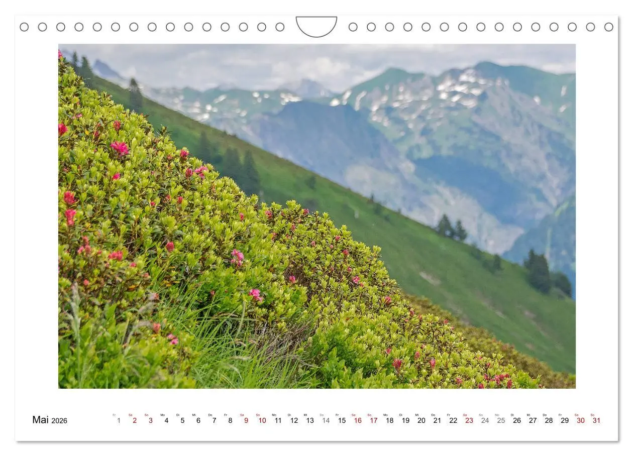 Bild: 9783457822074 | Naturwunder Bergwelt Fellhorn und Hörnergruppe (Wandkalender 2026...