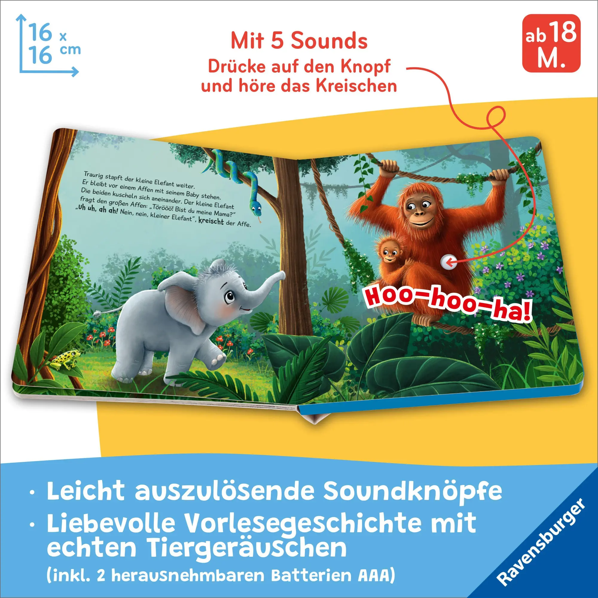 Bild: 9783473422074 | Hör mal hin - Törööö! Bist du meine Mama? | Bernd Penners | Buch