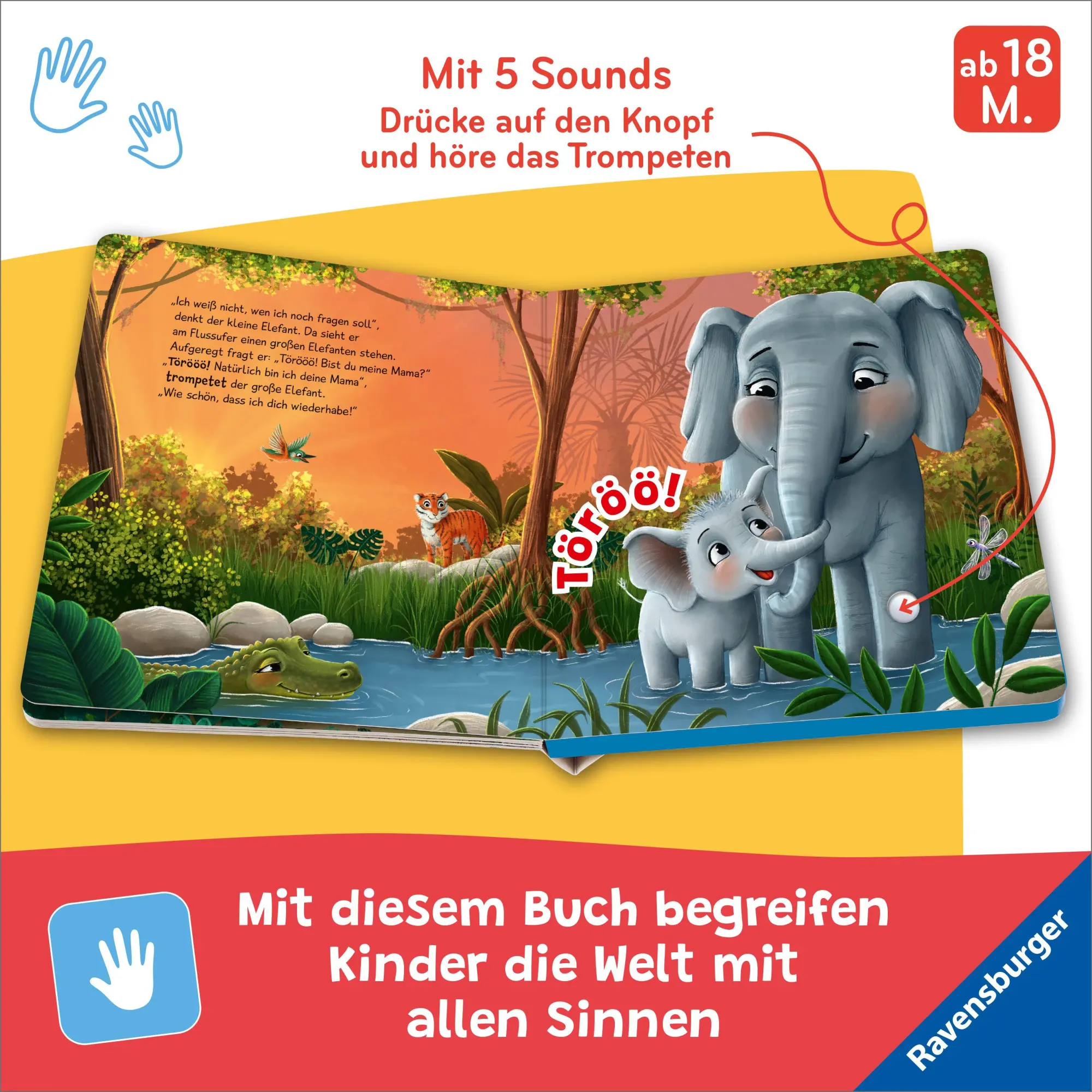 Bild: 9783473422074 | Hör mal hin - Törööö! Bist du meine Mama? | Bernd Penners | Buch
