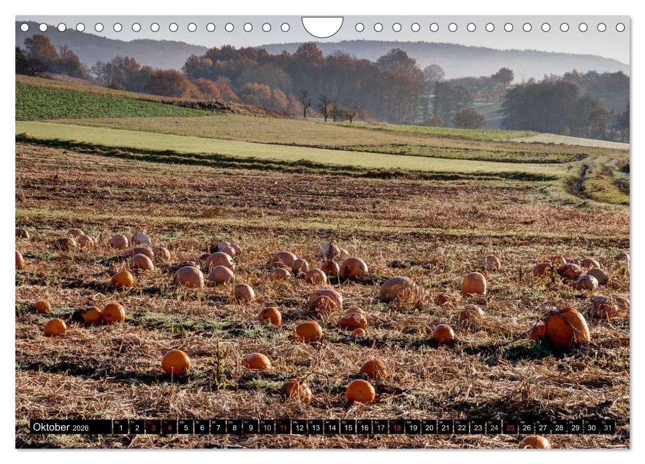 Bild: 9783516152074 | Fränkische Schweiz (Wandkalender 2026 DIN A4 quer), CALVENDO...