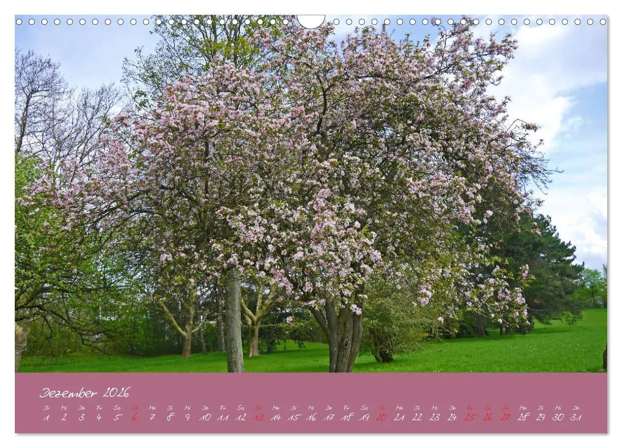 Bild: 9783457812174 | Düsseldorfer Nordpark (Wandkalender 2026 DIN A3 quer), CALVENDO...