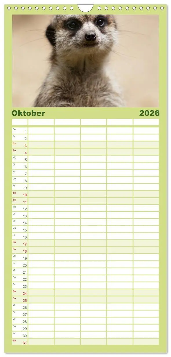 Bild: 9783516512274 | Familienplaner 2026 - Erdmännchen mit 5 Spalten (Wandkalender, 21 x...