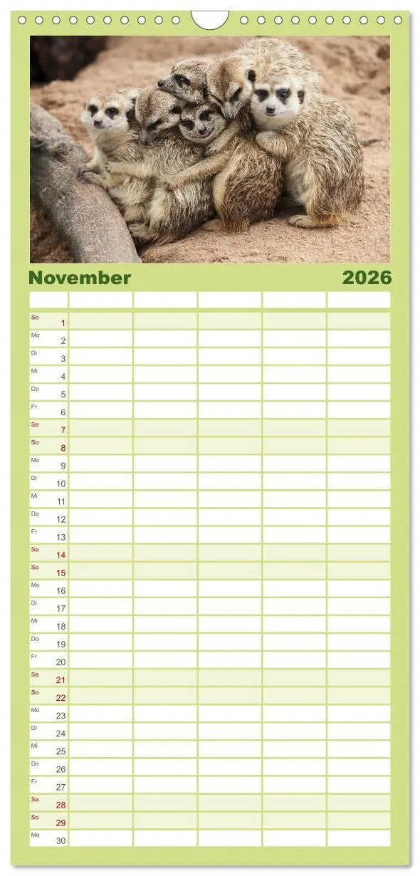 Bild: 9783516512274 | Familienplaner 2026 - Erdmännchen mit 5 Spalten (Wandkalender, 21 x...