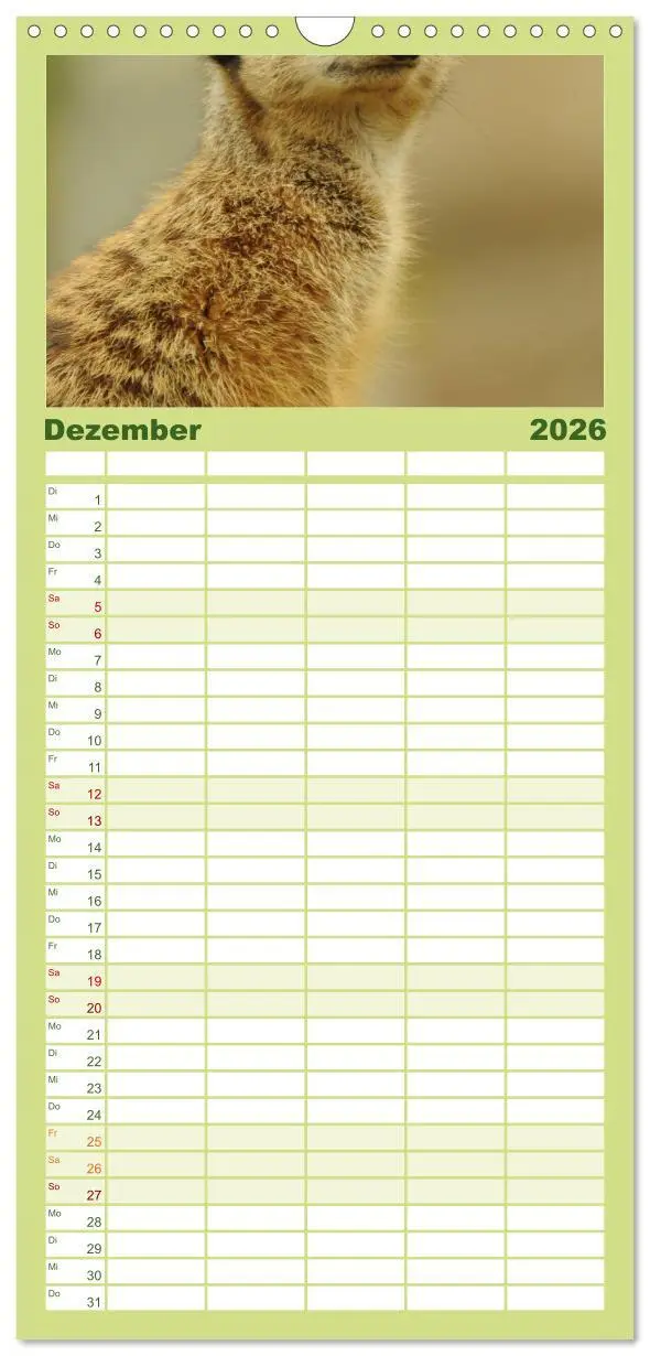 Bild: 9783516512274 | Familienplaner 2026 - Erdmännchen mit 5 Spalten (Wandkalender, 21 x...