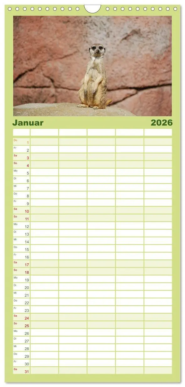 Bild: 9783516512274 | Familienplaner 2026 - Erdmännchen mit 5 Spalten (Wandkalender, 21 x...