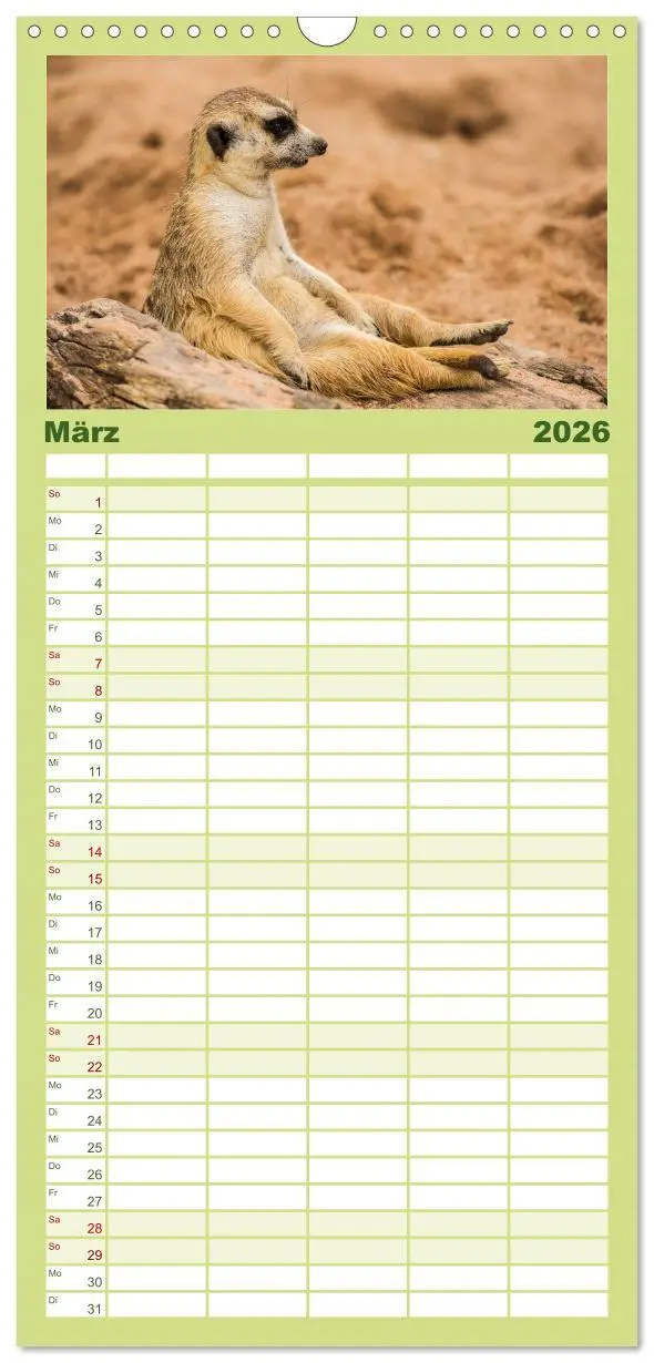 Bild: 9783516512274 | Familienplaner 2026 - Erdmännchen mit 5 Spalten (Wandkalender, 21 x...