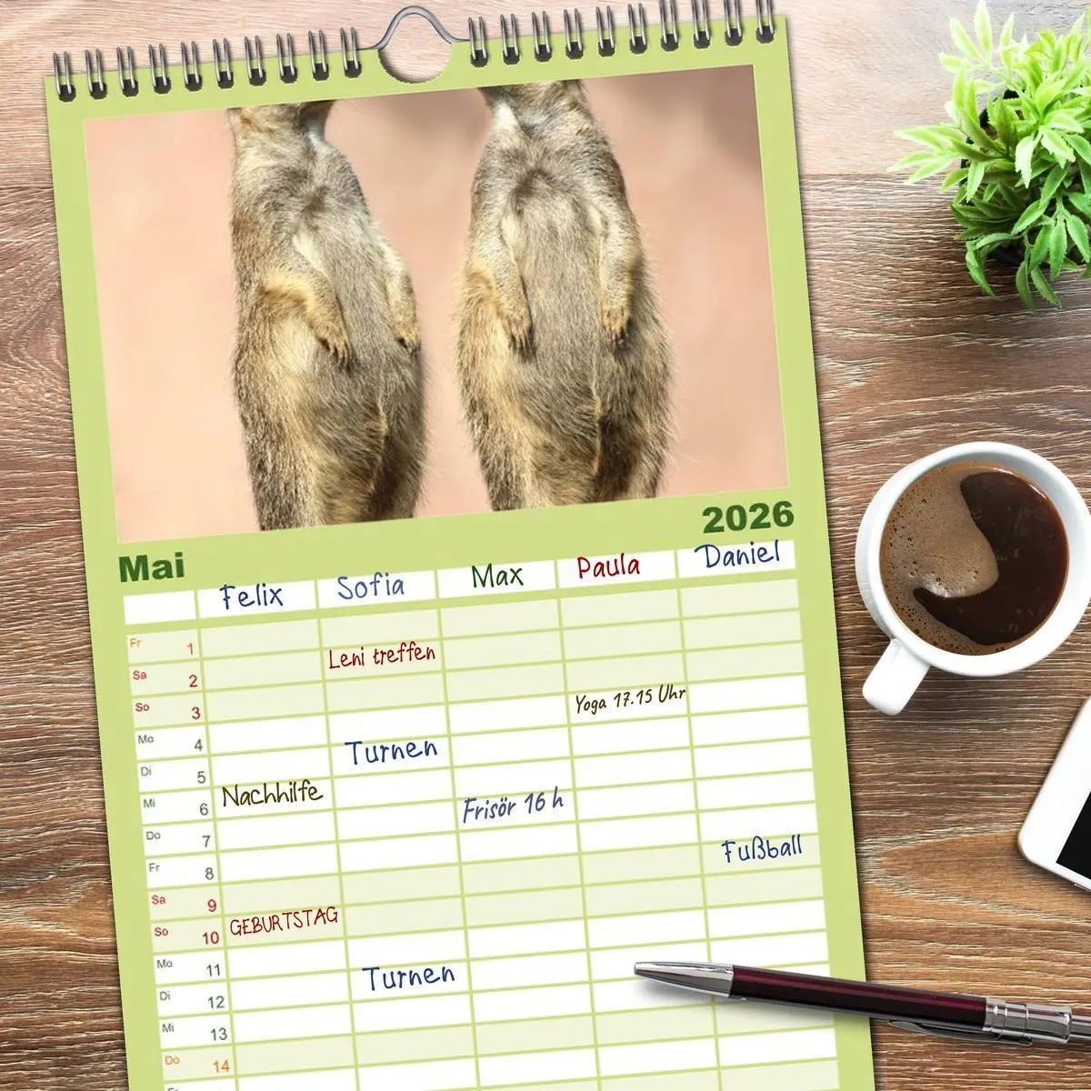 Bild: 9783516512274 | Familienplaner 2026 - Erdmännchen mit 5 Spalten (Wandkalender, 21 x...