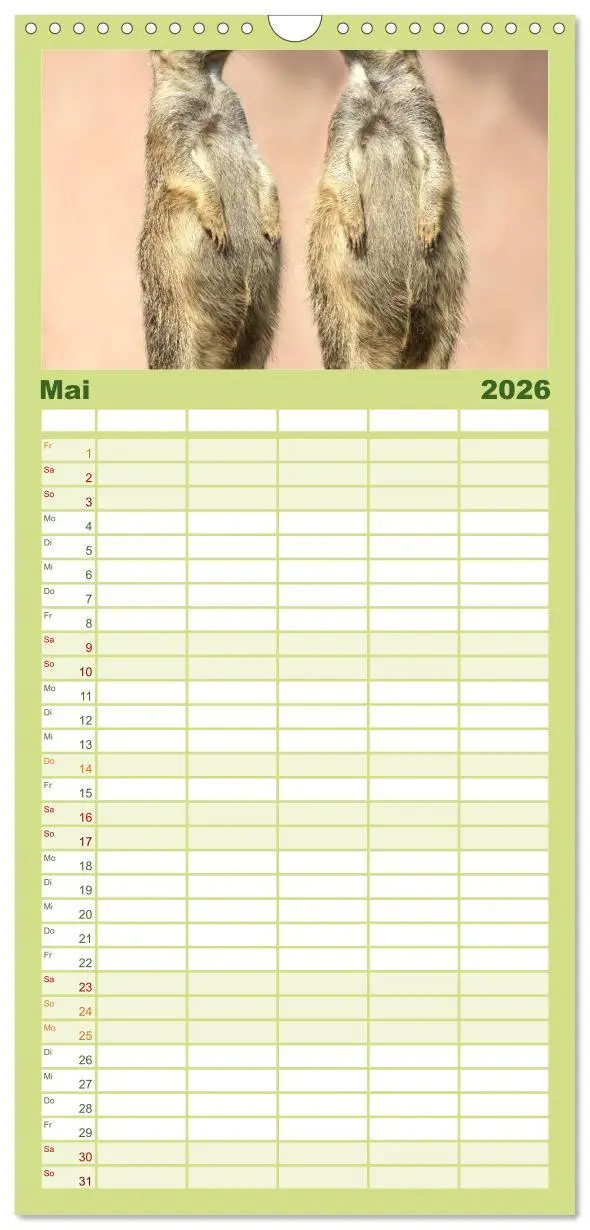 Bild: 9783516512274 | Familienplaner 2026 - Erdmännchen mit 5 Spalten (Wandkalender, 21 x...