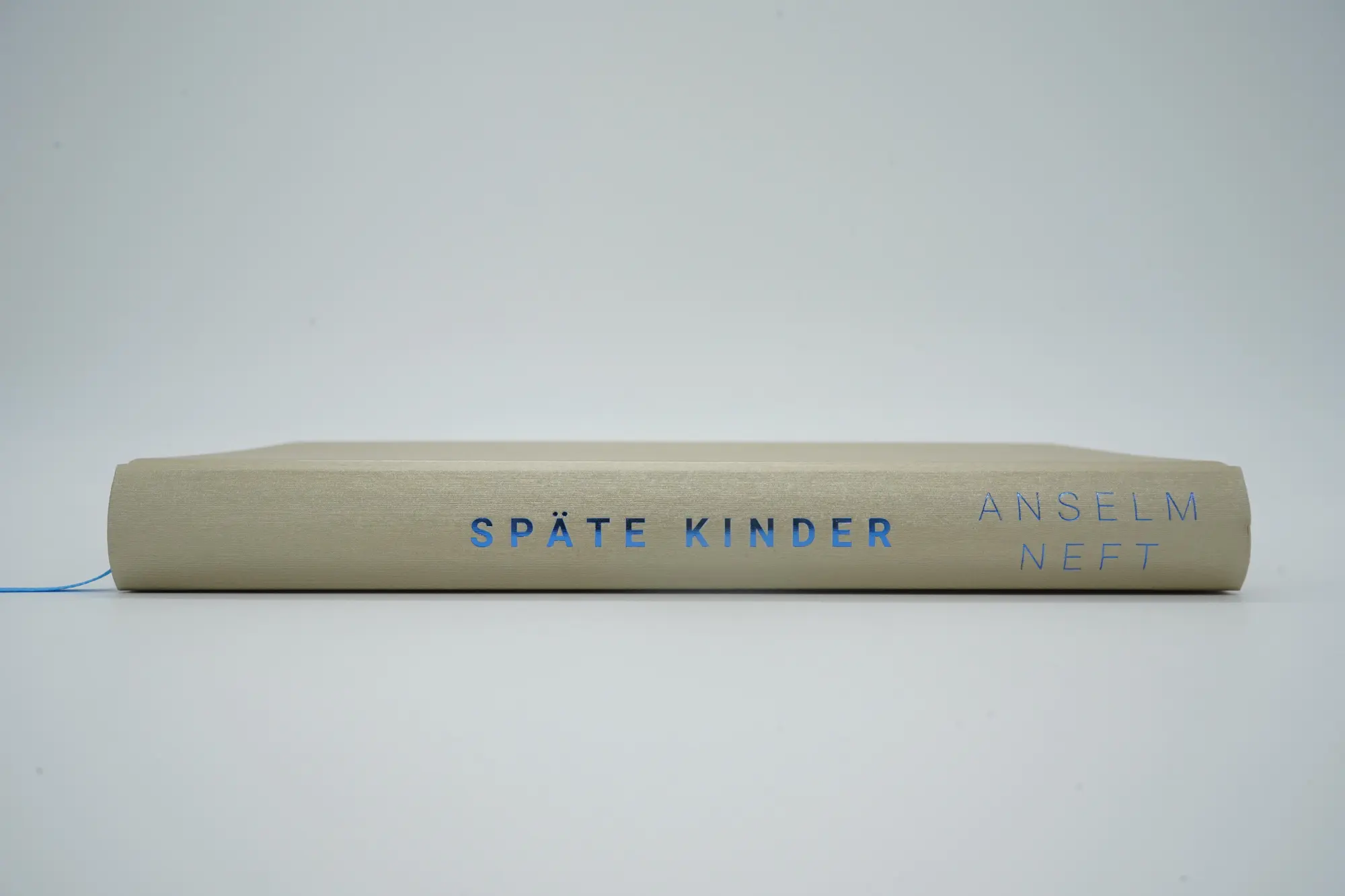 Bild: 9783498002374 | Späte Kinder | Anselm Neft | Buch | 288 S. | Deutsch | 2022