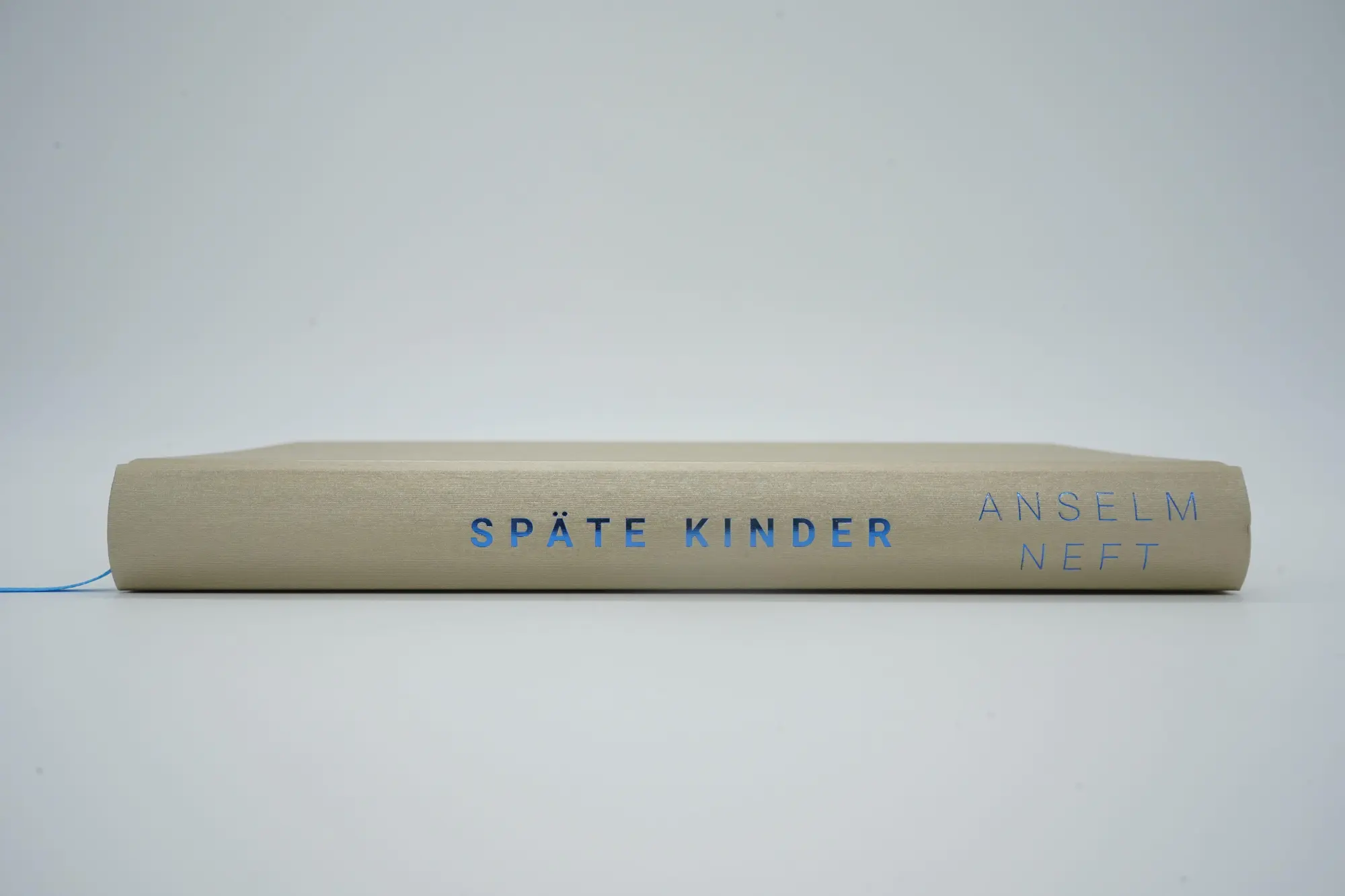 Bild: 9783498002374 | Späte Kinder | Anselm Neft | Buch | 288 S. | Deutsch | 2022