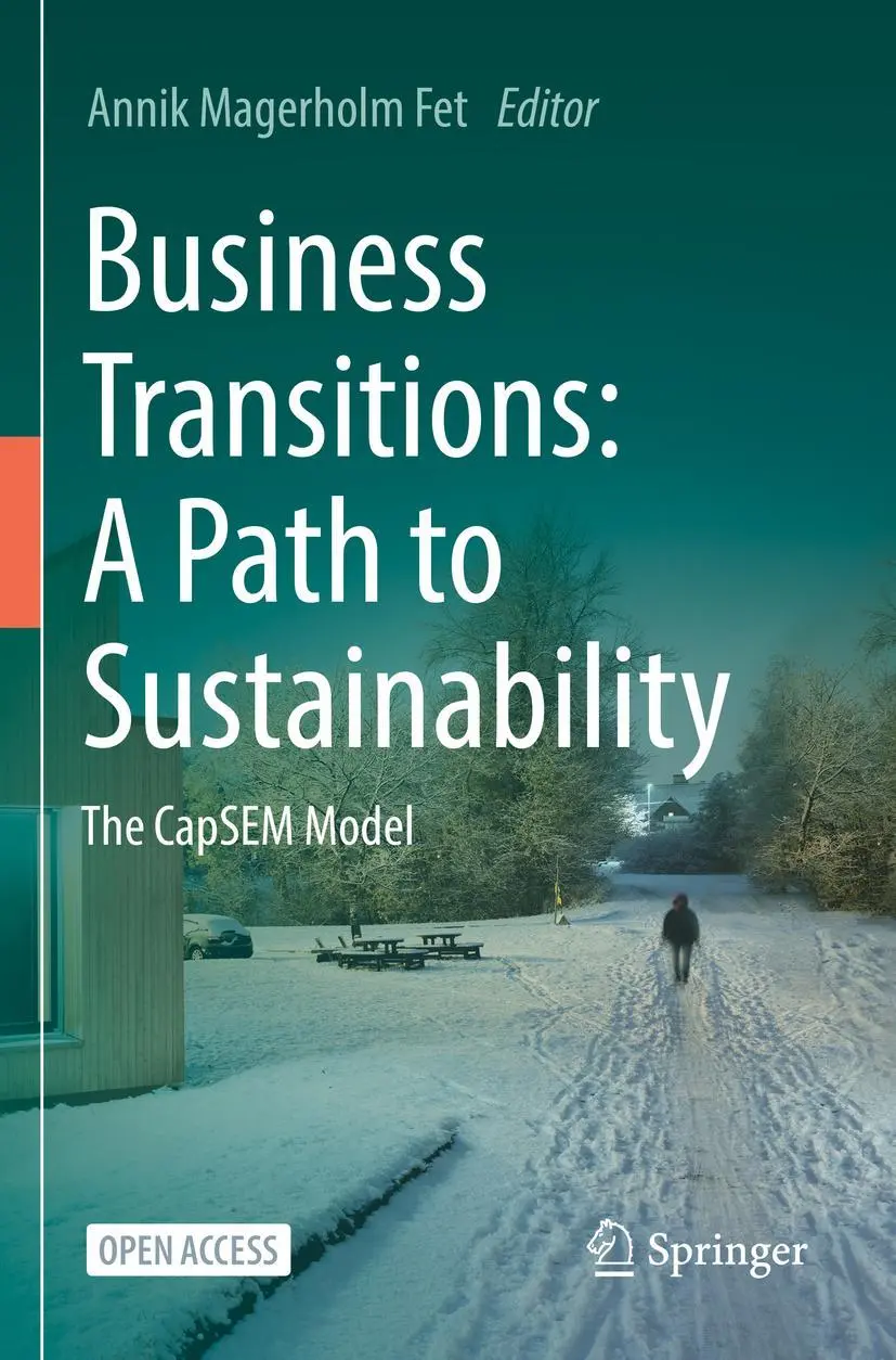 Cover: 9783031222474 | Business Transitions: A Path to Sustainability | The CapSEM Model