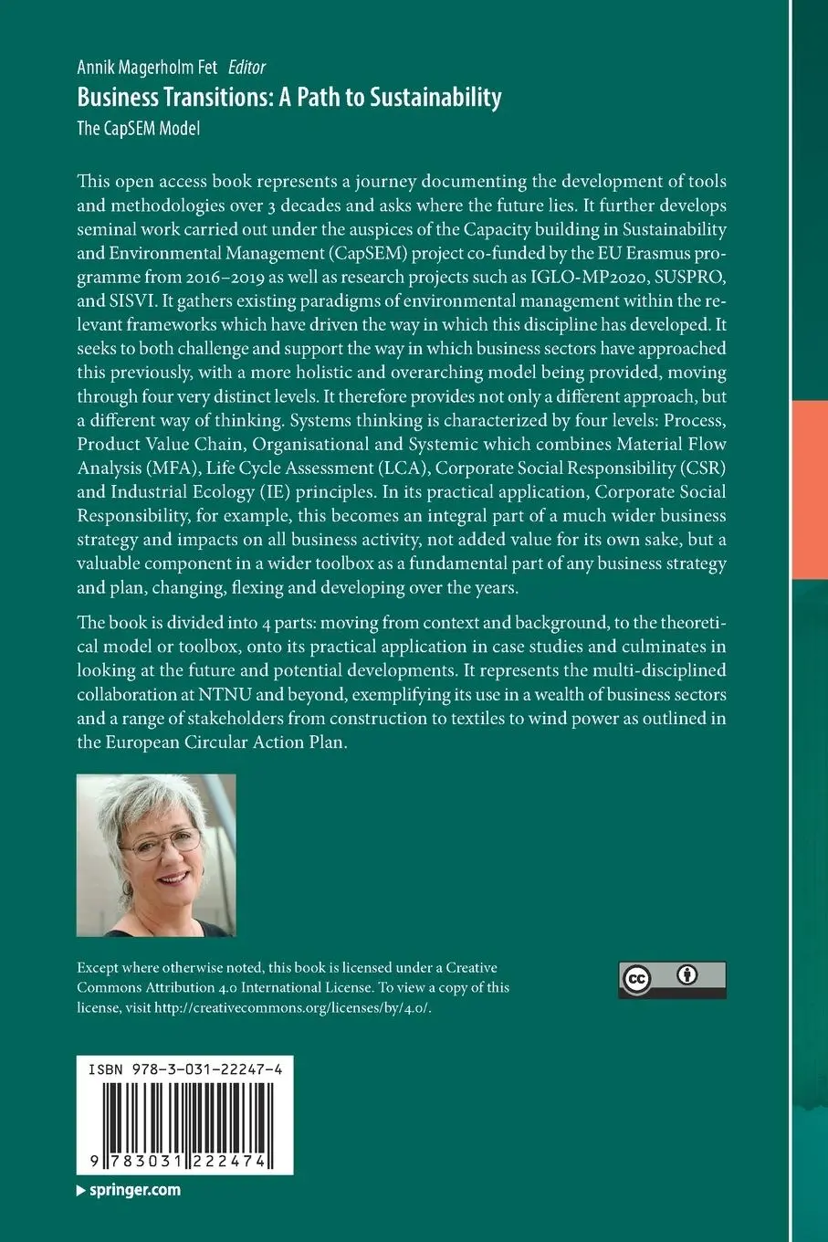 Rückseite: 9783031222474 | Business Transitions: A Path to Sustainability | The CapSEM Model