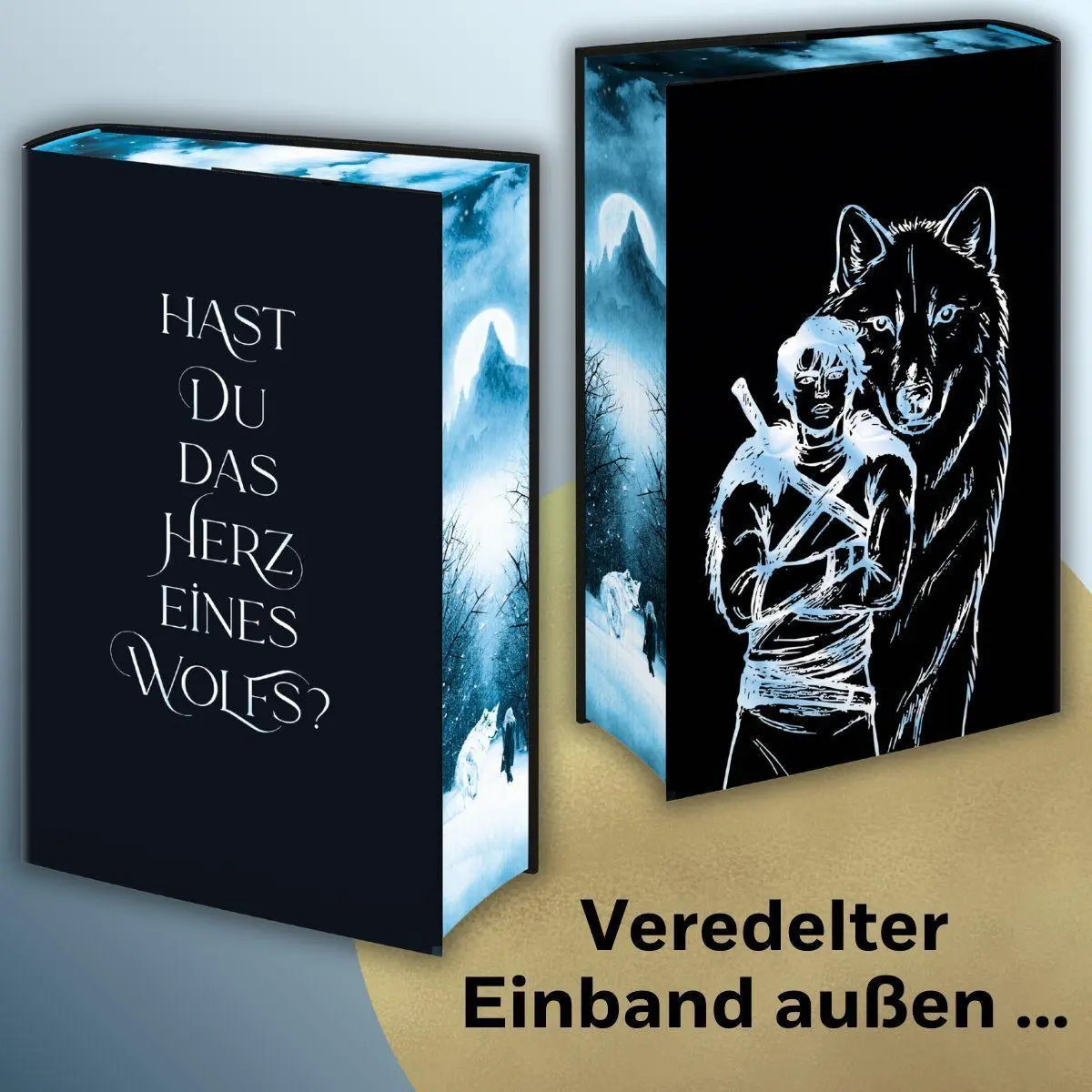 Bild: 9783442302574 | Fury Bound | Sable Sorensen | Buch | Die Wolves-of-Ruin Reihe | 864 S.