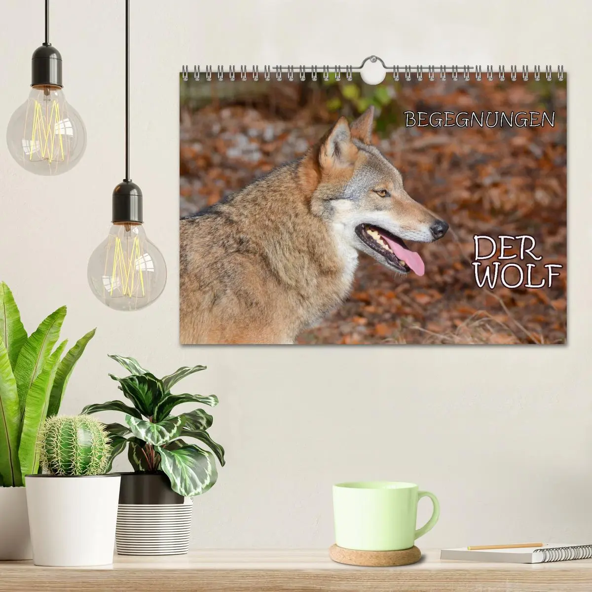 Bild: 9783457872574 | Begegnungen DER WOLF (Wandkalender 2026 DIN A4 quer), CALVENDO...