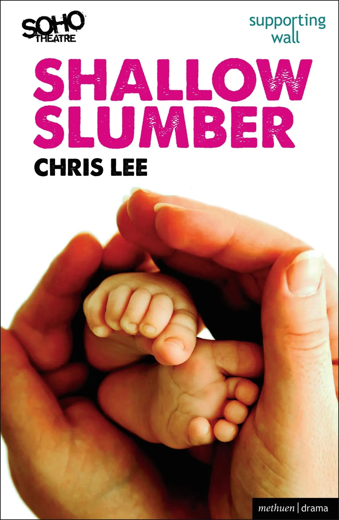 Cover: 9781408172674 | Shallow Slumber | Chris Lee | Taschenbuch | Englisch | 2012