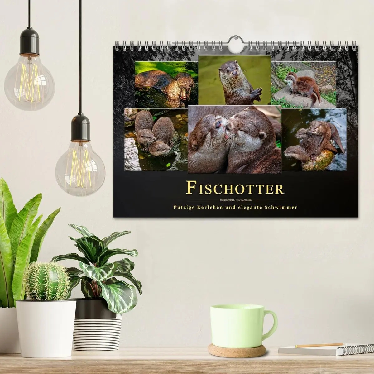 Bild: 9783457862674 | Fischotter - putzige Kerlchen und elegante Schwimmer (Wandkalender...
