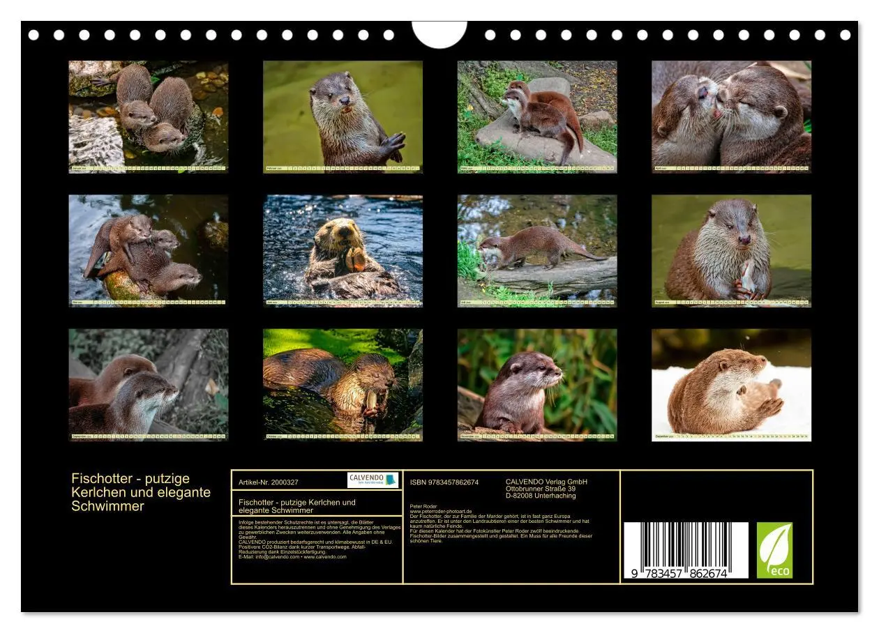 Bild: 9783457862674 | Fischotter - putzige Kerlchen und elegante Schwimmer (Wandkalender...