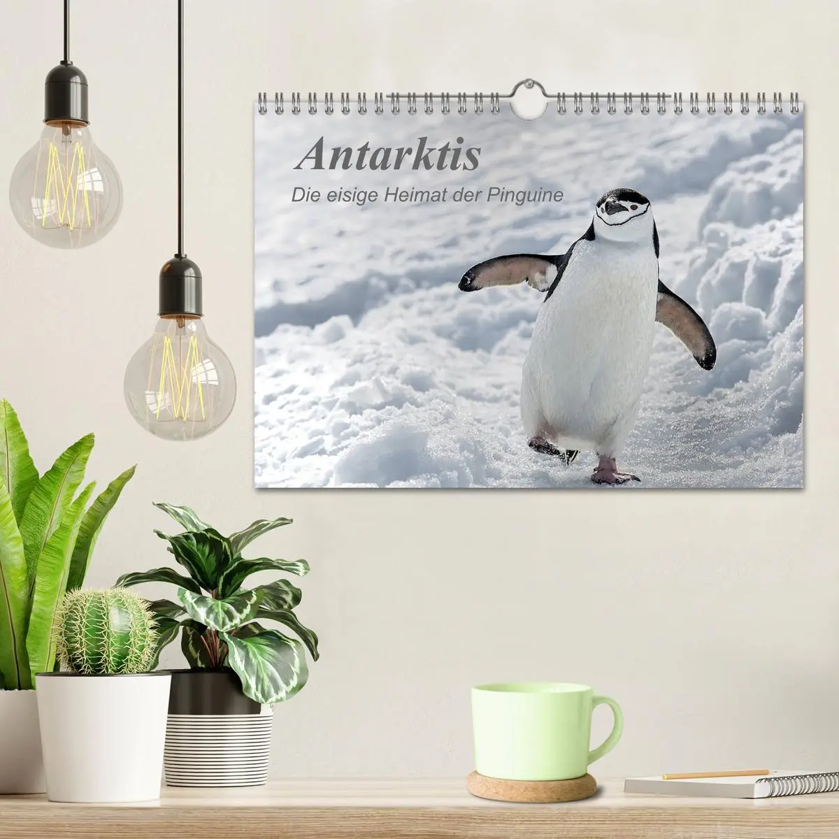 Bild: 9783457932674 | Antarktis, die eisige Heimat der Pinguine (Wandkalender 2026 DIN A4...