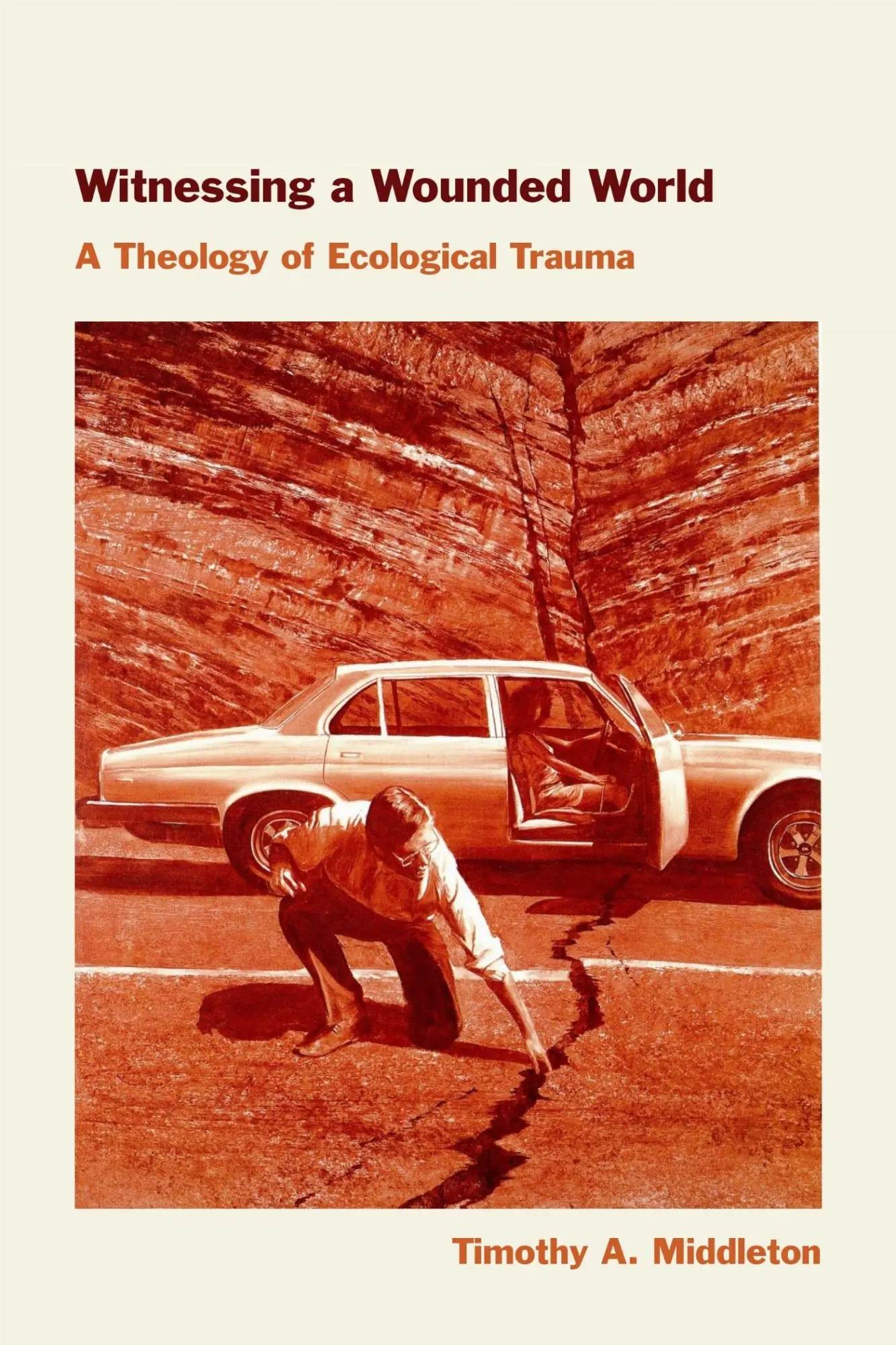 Cover: 9781531512774 | Witnessing a Wounded World | A Theology of Ecological Trauma | Buch