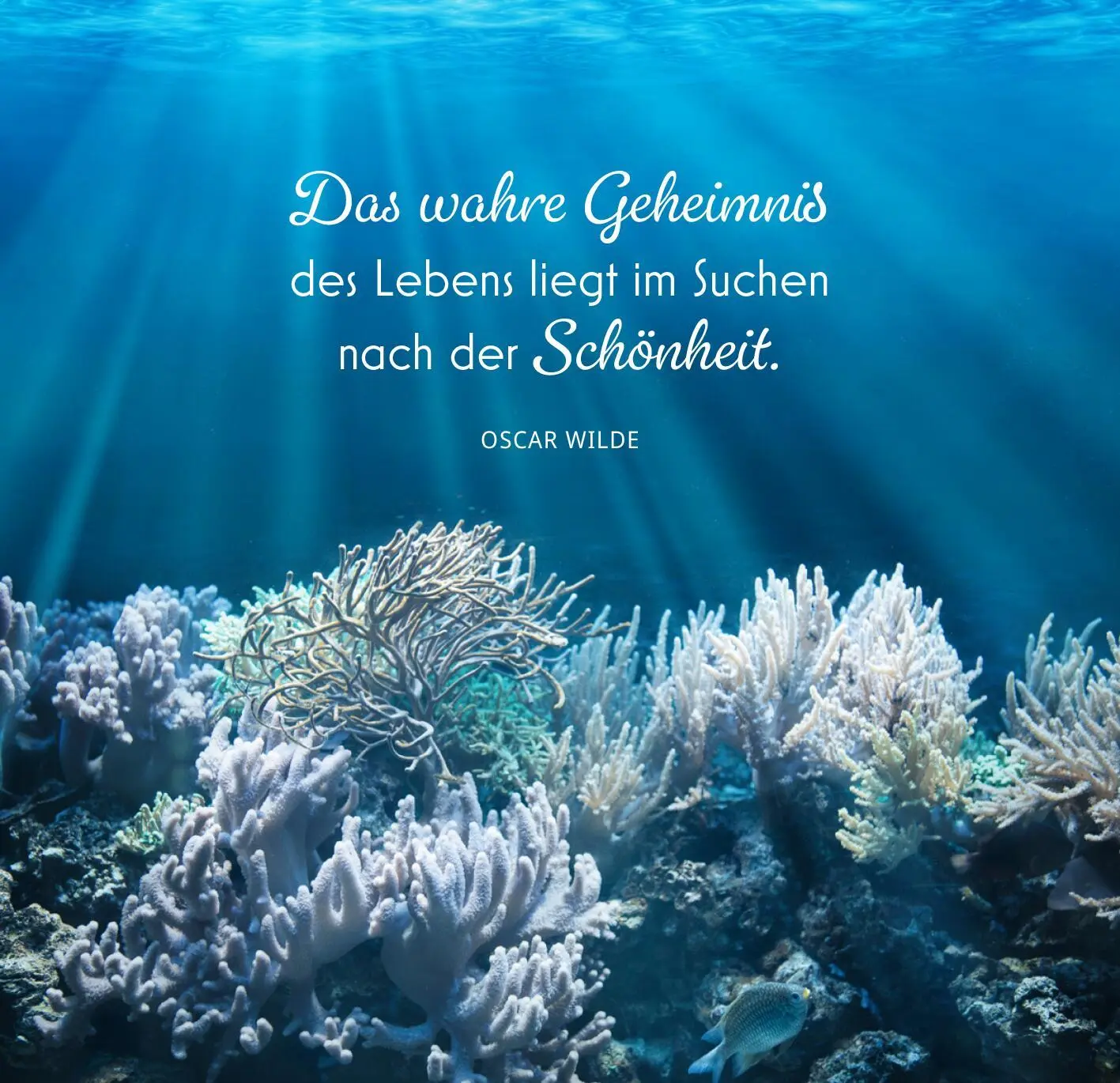 Bild: 9783845862774 | Mehr Meer, bitte! | Zitate über die Sehnsucht nach Wellen und Weite