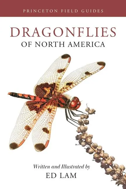Cover: 9780691232874 | Dragonflies of North America | Ed Lam | Taschenbuch | Englisch | 2024 Cover: 9780691232874 | Dragonflies of North America | Ed Lam | Taschenbuch | Englisch | 2024