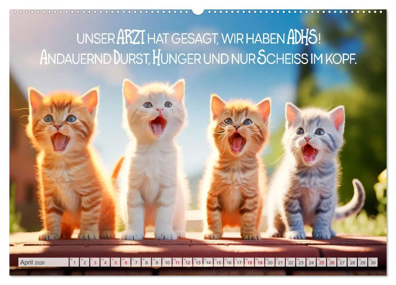 Bild: 9783457462874 | Süße Katzen und coole Sprüche (Wandkalender 2026 DIN A2 quer),...