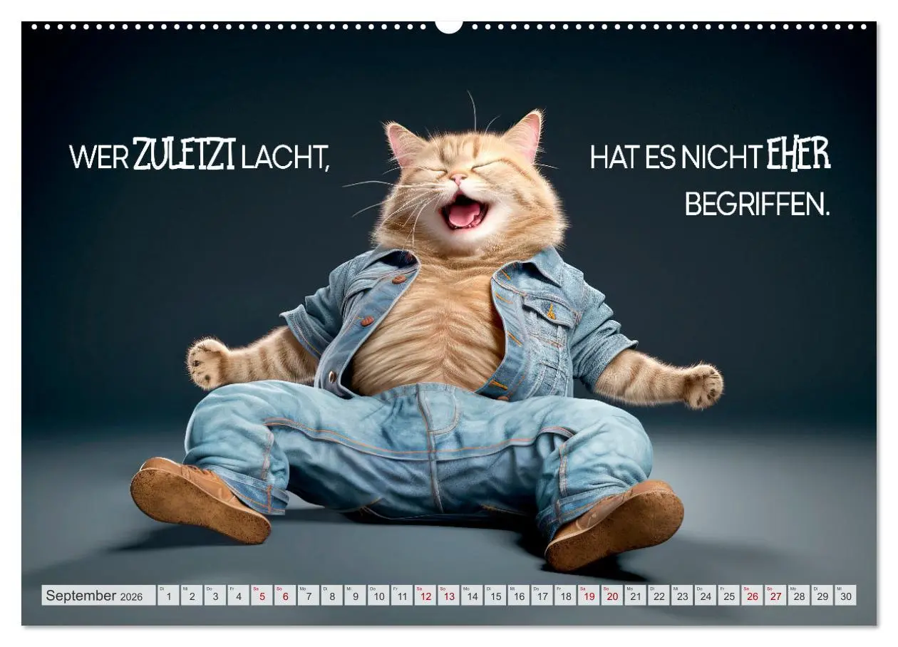 Bild: 9783457462874 | Süße Katzen und coole Sprüche (Wandkalender 2026 DIN A2 quer),...