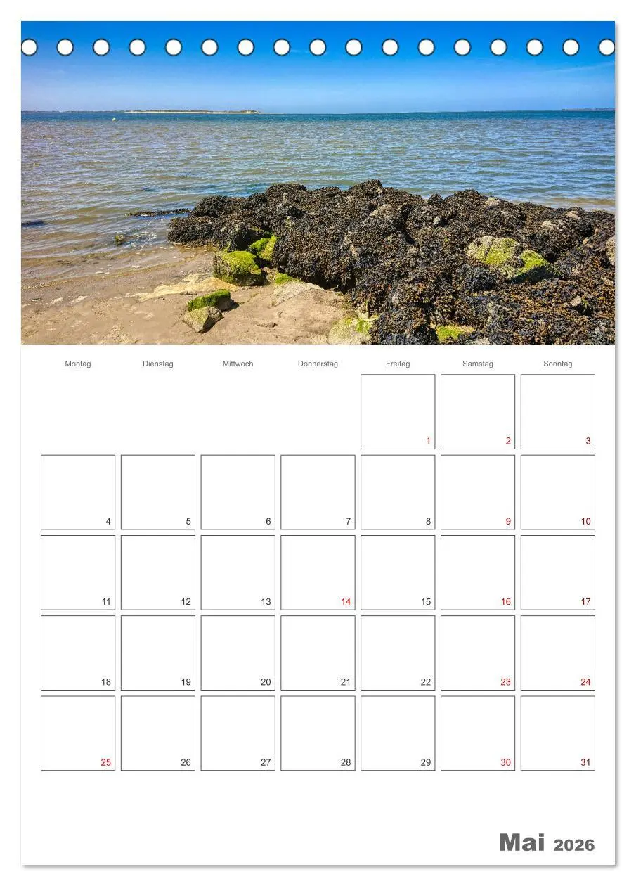 Bild: 9783516242874 | Föhr ... verliebt in die Insel (Tischkalender 2026 DIN A5 hoch),...