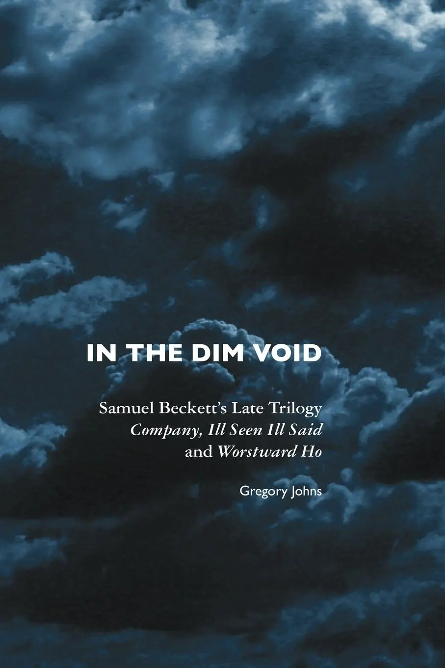 Cover: 9781861712974 | In the Dim Void | Gregory Johns | Taschenbuch | Englisch | 2010