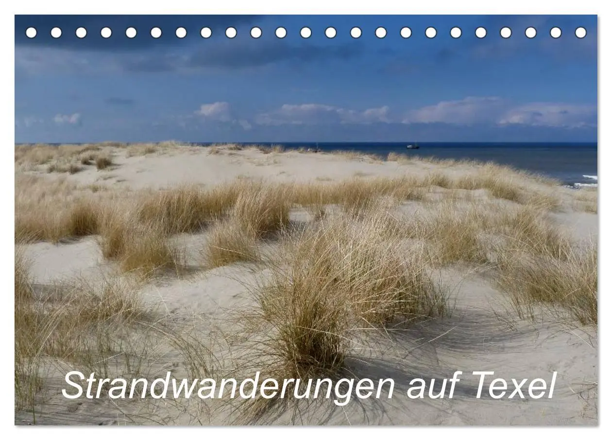 Cover: 9783516162974 | Strandwanderungen auf Texel (Tischkalender 2026 DIN A5 quer),...