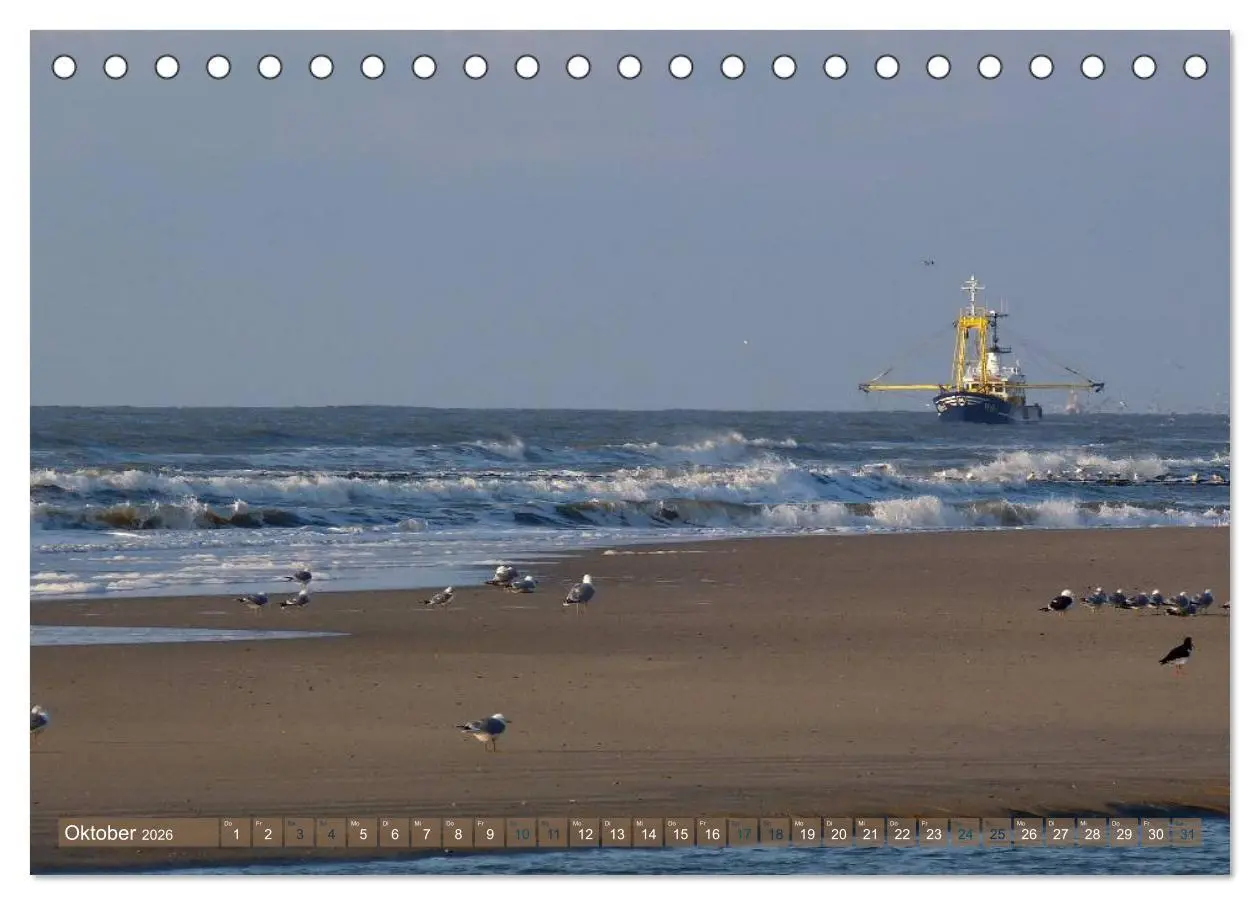 Bild: 9783516162974 | Strandwanderungen auf Texel (Tischkalender 2026 DIN A5 quer),...
