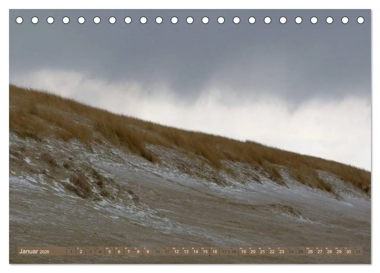 Bild: 9783516162974 | Strandwanderungen auf Texel (Tischkalender 2026 DIN A5 quer),...