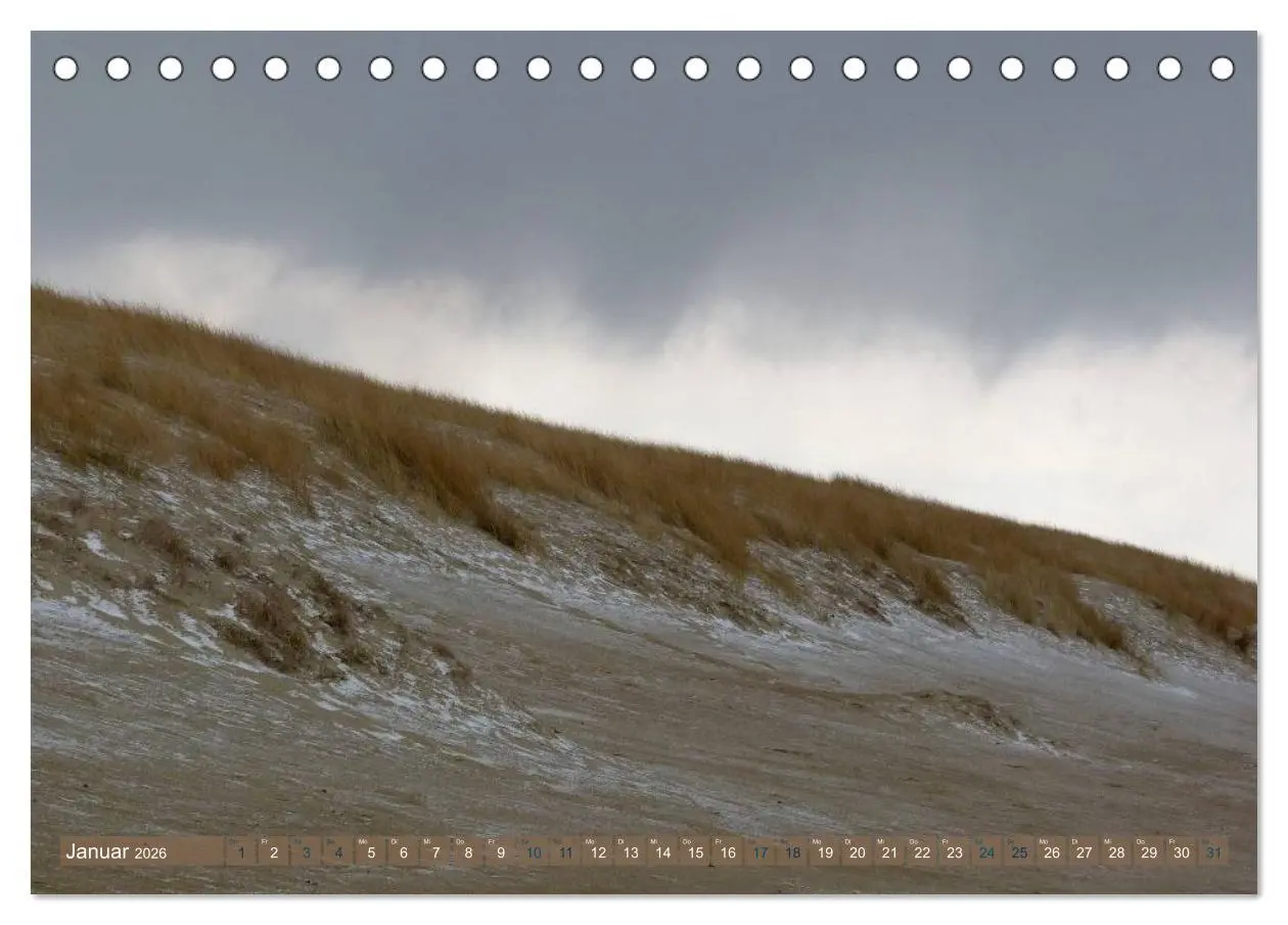 Bild: 9783516162974 | Strandwanderungen auf Texel (Tischkalender 2026 DIN A5 quer),...