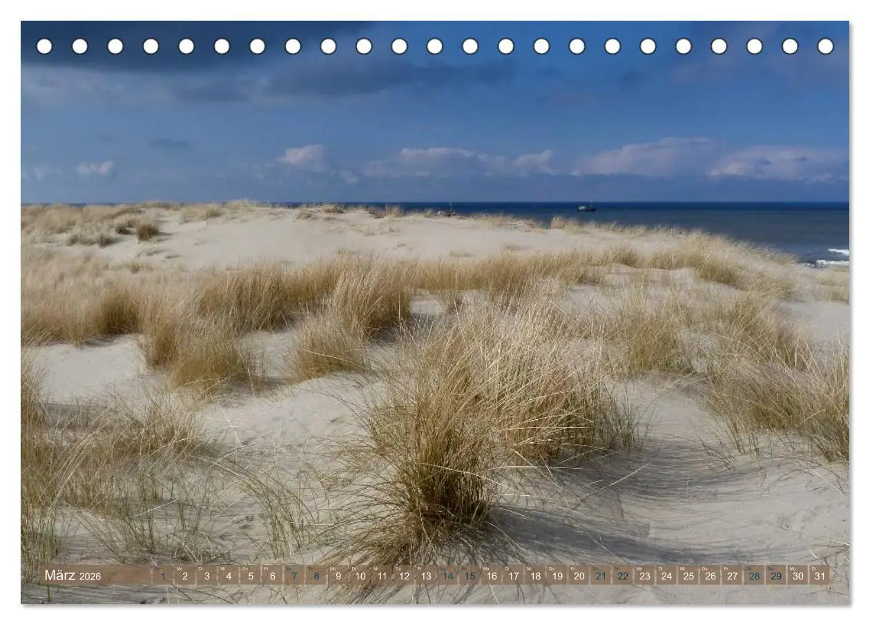 Bild: 9783516162974 | Strandwanderungen auf Texel (Tischkalender 2026 DIN A5 quer),...