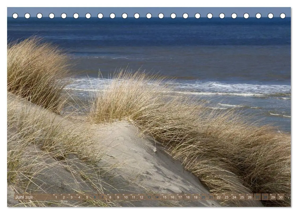 Bild: 9783516162974 | Strandwanderungen auf Texel (Tischkalender 2026 DIN A5 quer),...