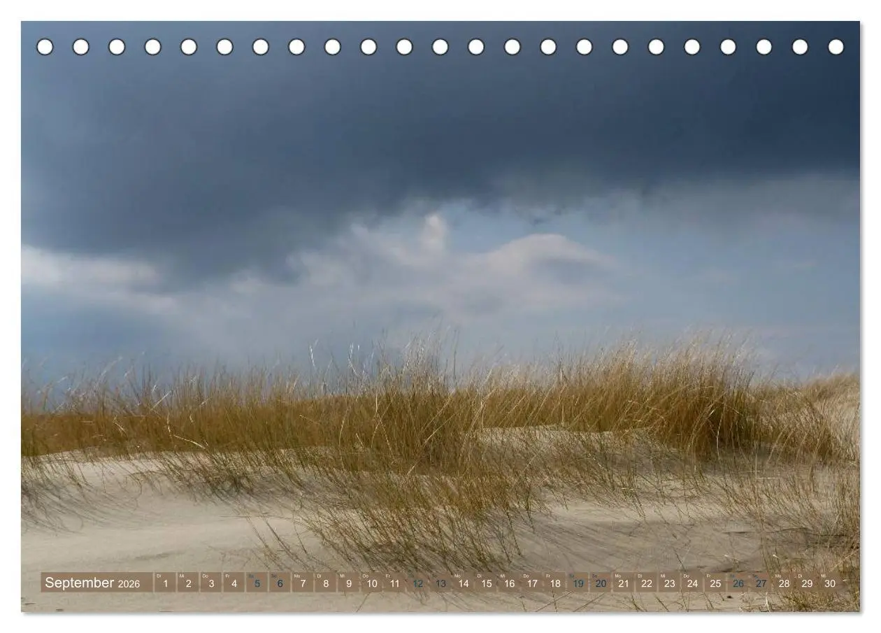 Bild: 9783516162974 | Strandwanderungen auf Texel (Tischkalender 2026 DIN A5 quer),...