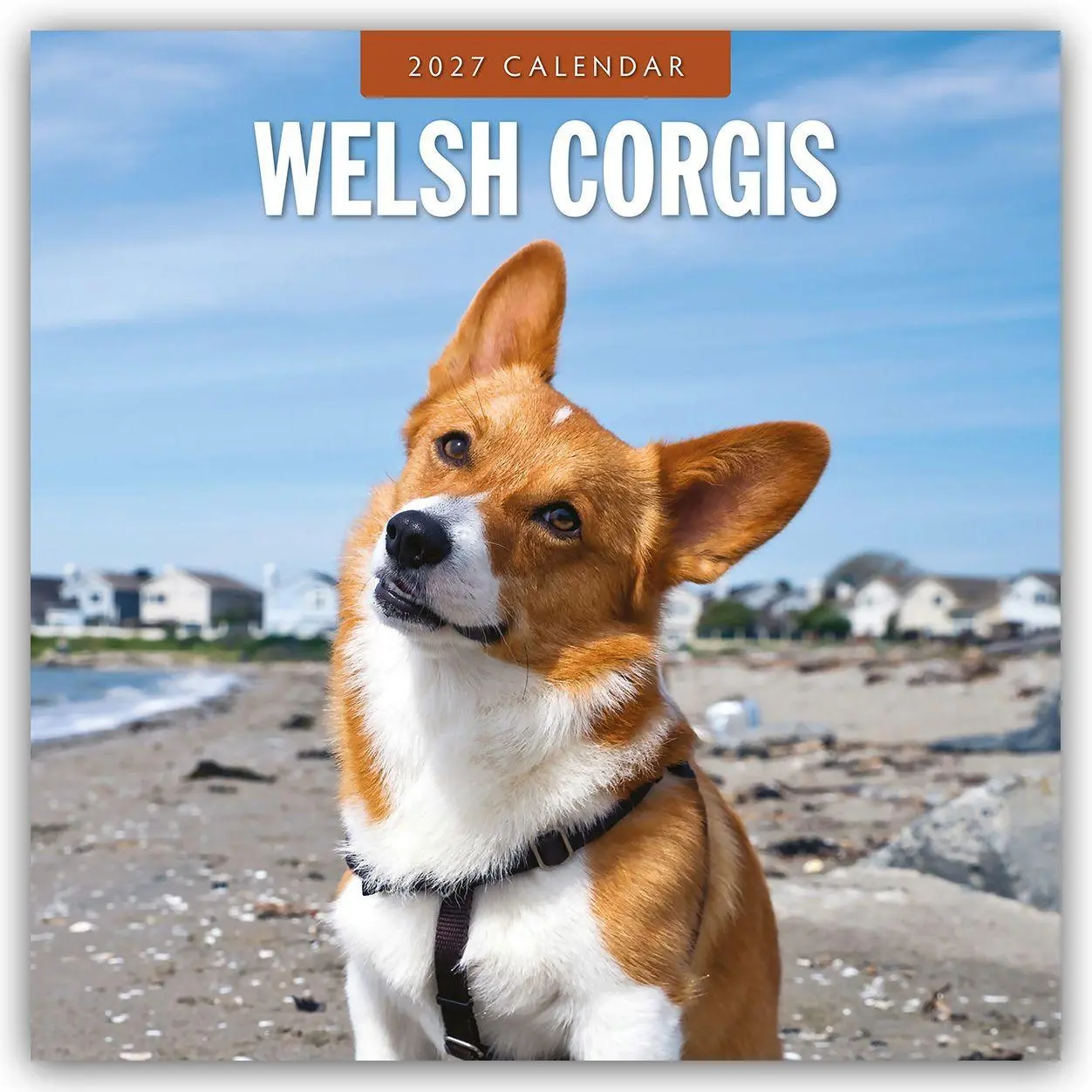 Cover: 9781837013074 | Welsh Corgis - Welsh Corgi 2027 - 16-Monatskalender | Robin Red | 2027