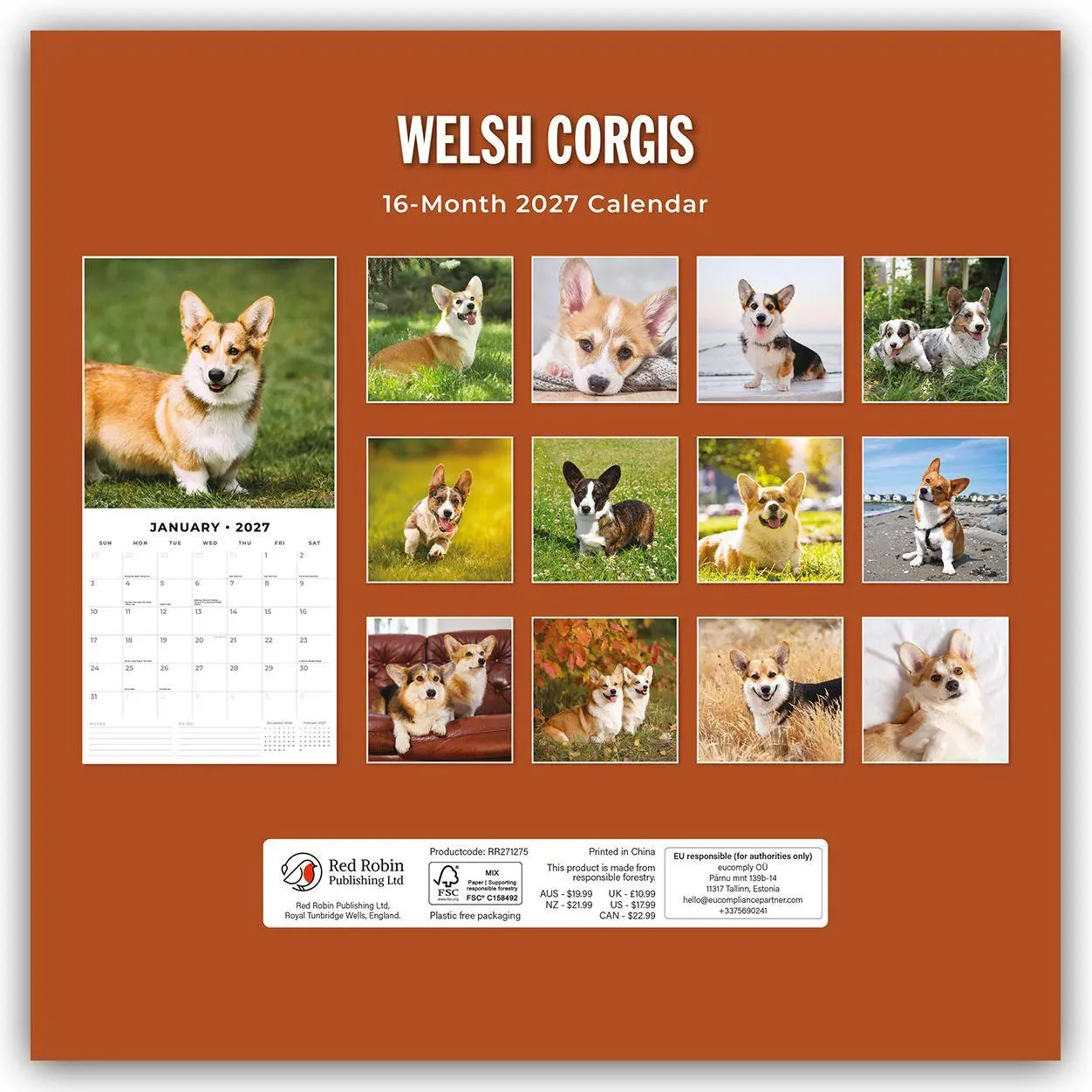 Rückseite: 9781837013074 | Welsh Corgis - Welsh Corgi 2027 - 16-Monatskalender | Robin Red | 2027