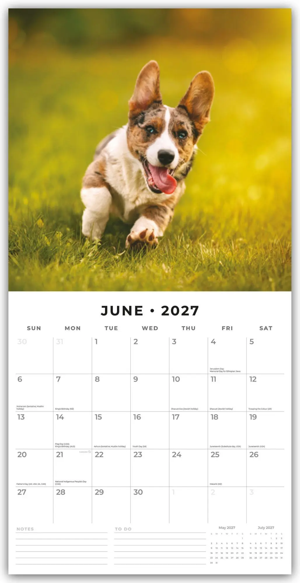 Bild: 9781837013074 | Welsh Corgis - Welsh Corgi 2027 - 16-Monatskalender | Robin Red | 2027