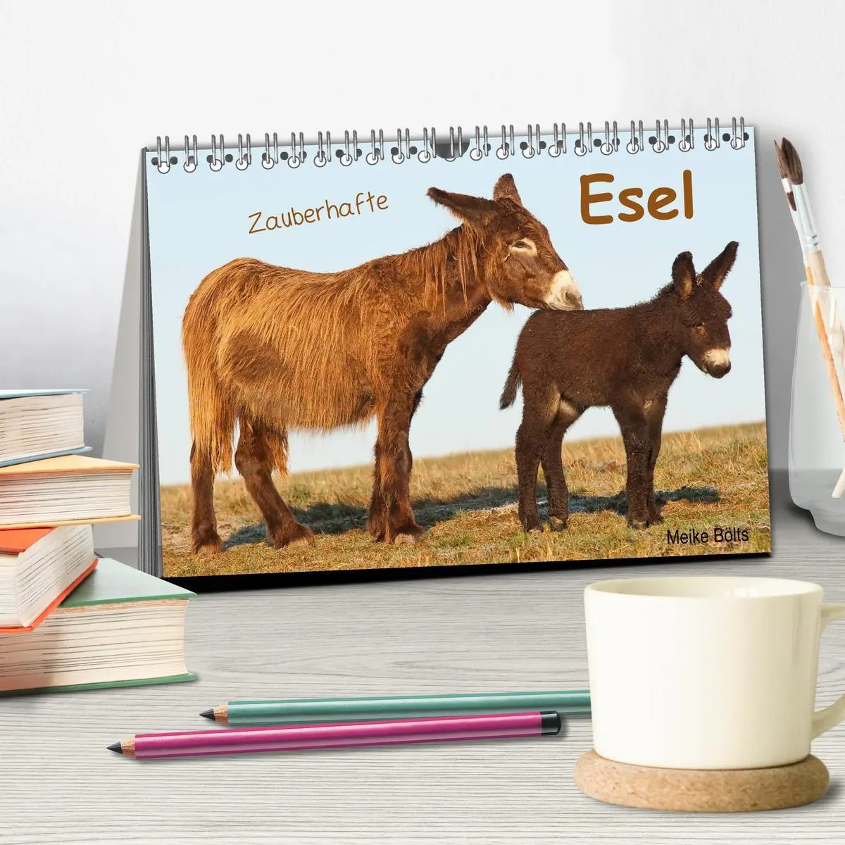 Bild: 9783516053074 | Zauberhafte Esel (Tischkalender 2026 DIN A5 quer), CALVENDO...