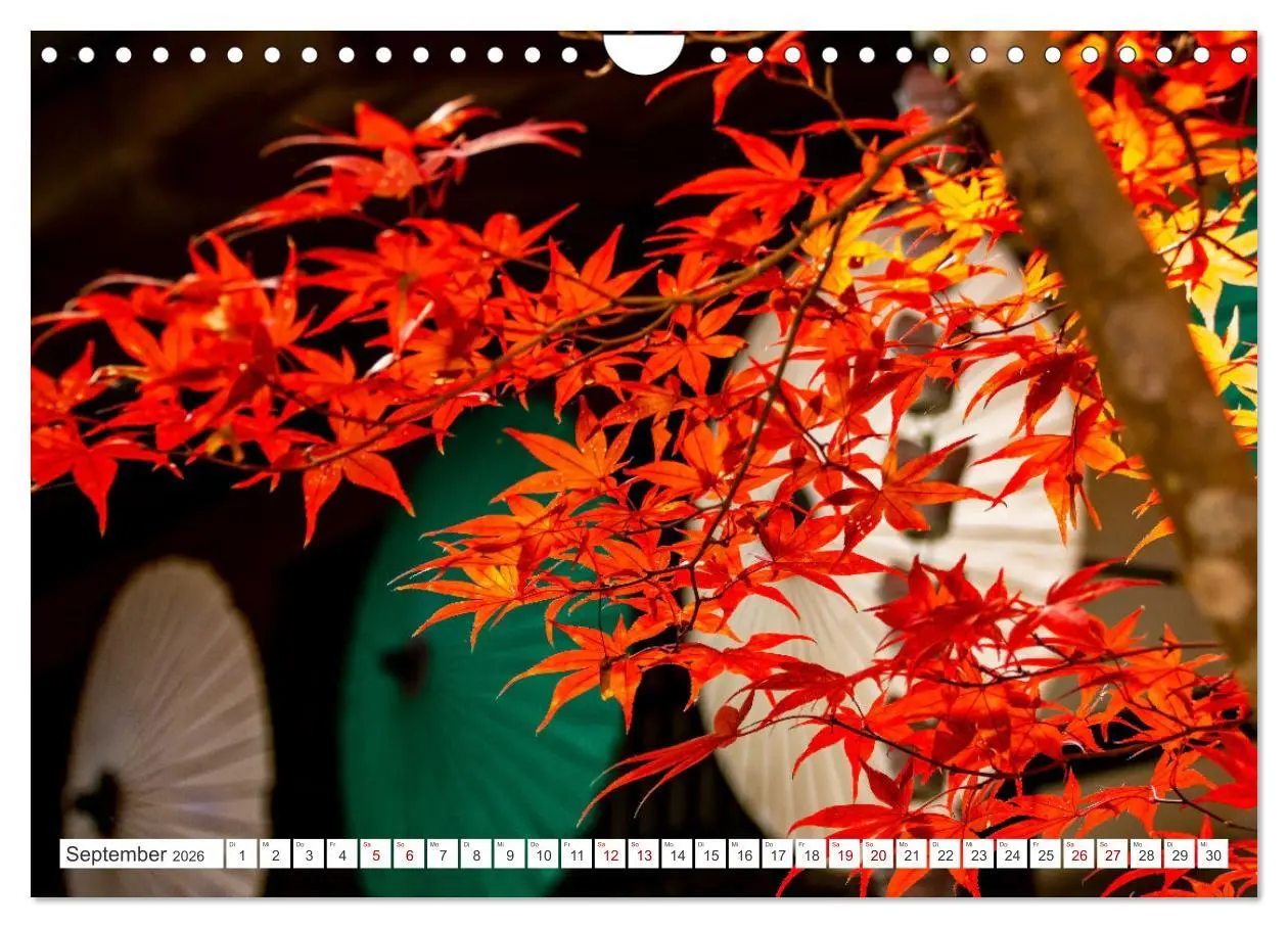Bild: 9783457333174 | Herbst in Japan (Wandkalender 2026 DIN A4 quer), CALVENDO...