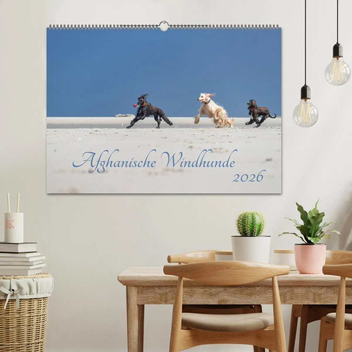 Bild: 9783457883174 | AFGHANISCHE WINDHUNDE 2026 (Wandkalender 2026 DIN A2 quer),...