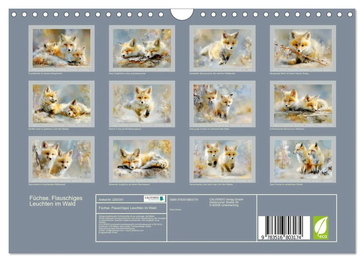 Bild: 9783516803174 | Füchse. Flauschiges Leuchten im Wald (Wandkalender 2027 DIN A4...
