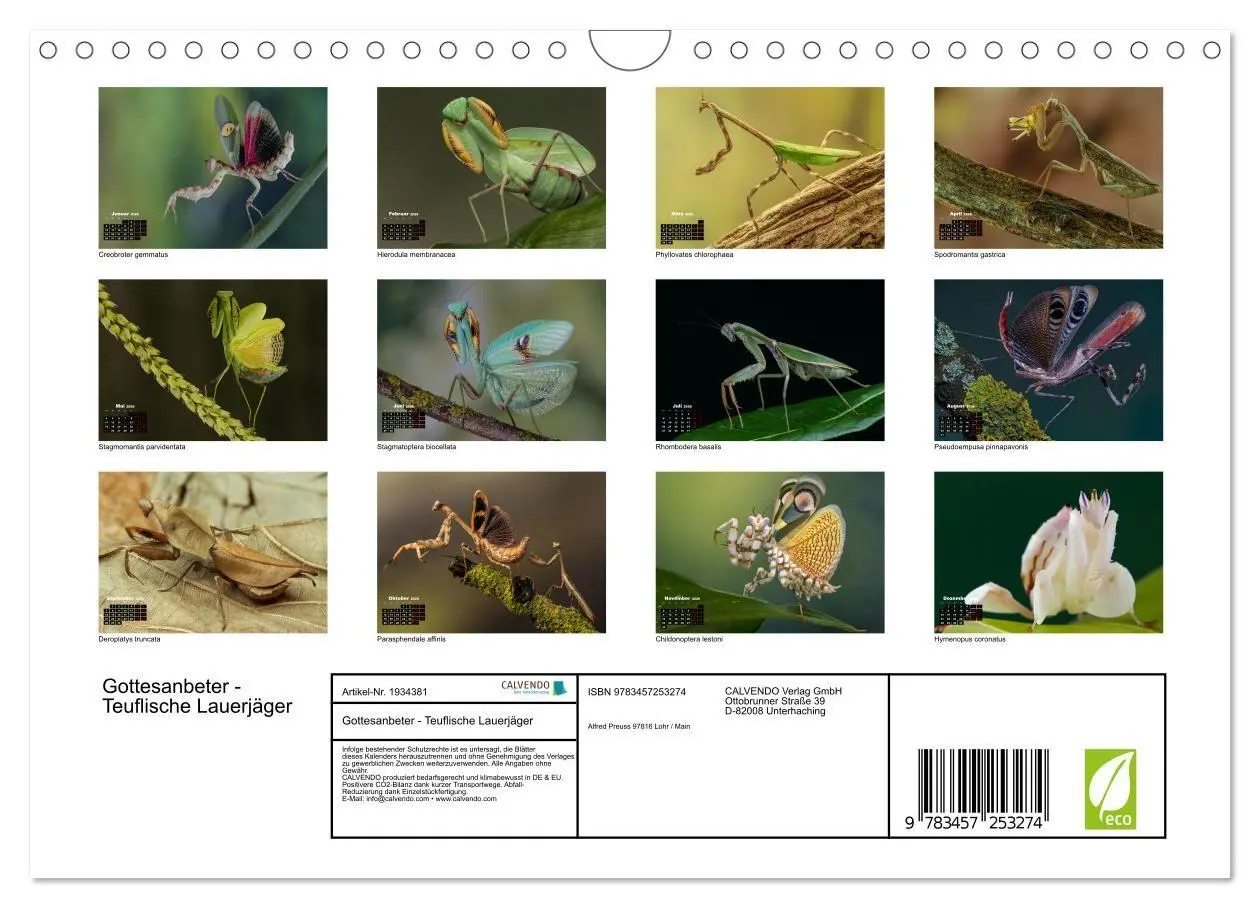 Bild: 9783457253274 | Gottesanbeter - Teuflische Lauerjäger (Wandkalender 2026 DIN A4...
