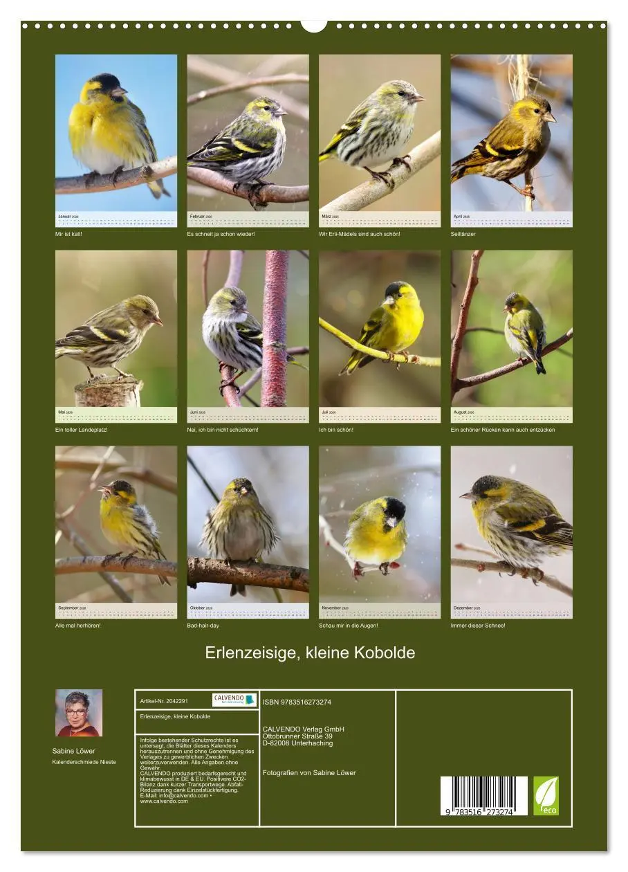 Bild: 9783516273274 | Erlenzeisige, kleine Kobolde (hochwertiger Premium Wandkalender...