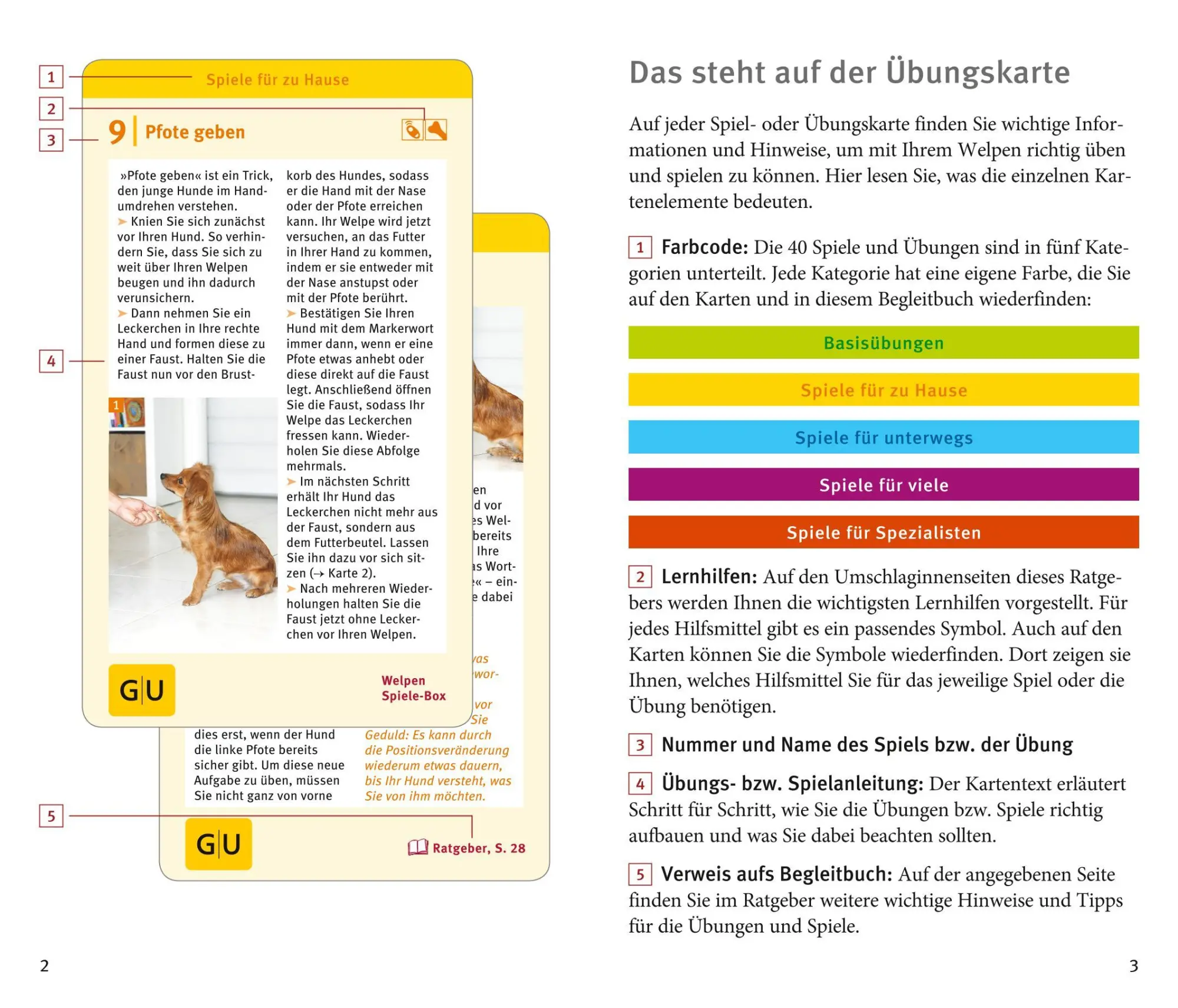 Bild: 9783833833274 | Welpen-Spiele-Box | Plus Futterbeutel für sofortigen Spielspaß | Taetz