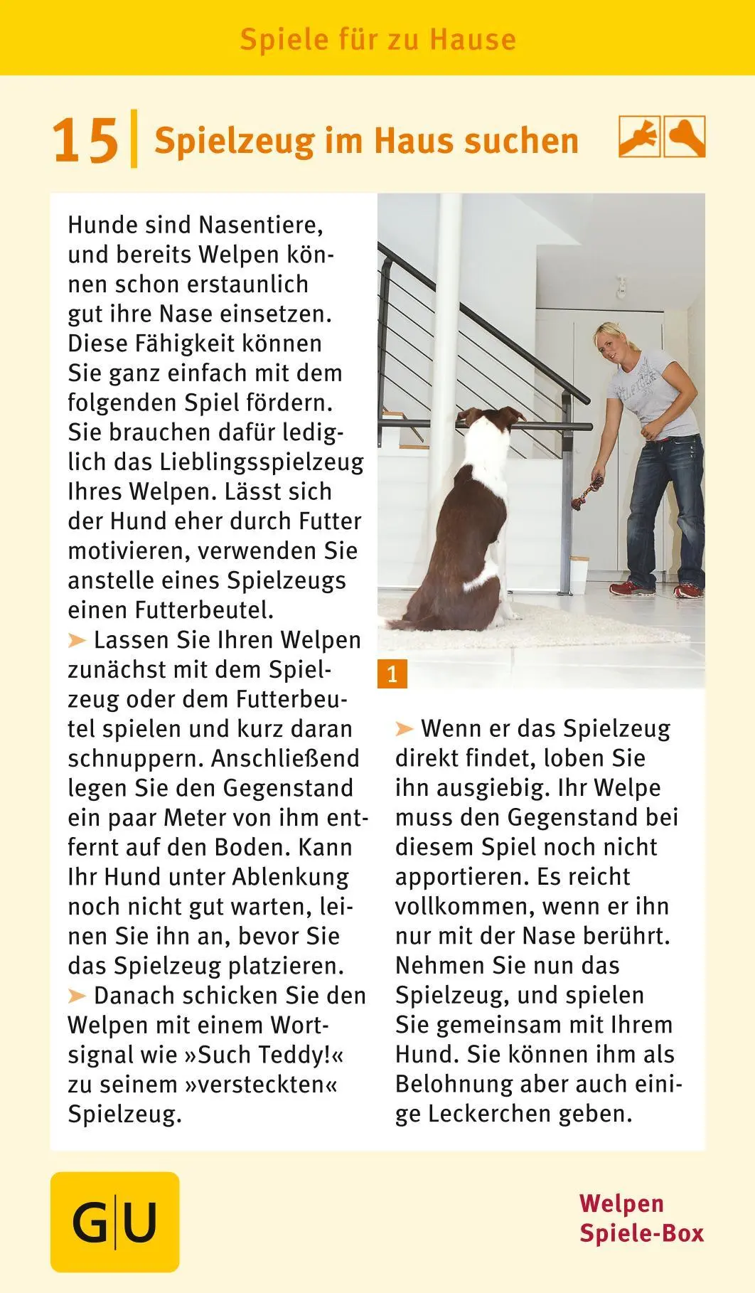 Bild: 9783833833274 | Welpen-Spiele-Box | Plus Futterbeutel für sofortigen Spielspaß | Taetz