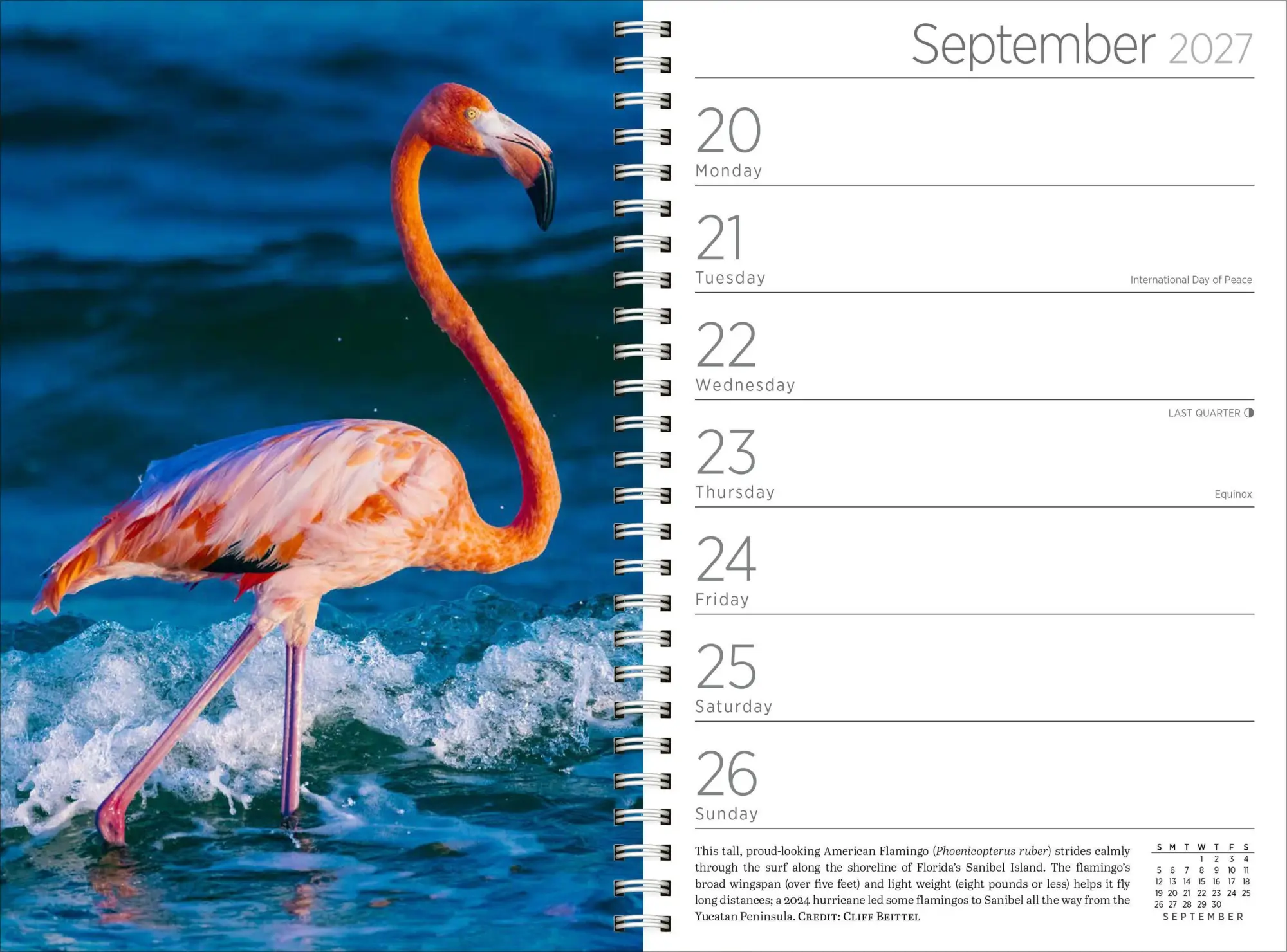 Bild: 9781523533374 | Audubon Engagement Calendar 2027 | National Audubon Society (u. a.)