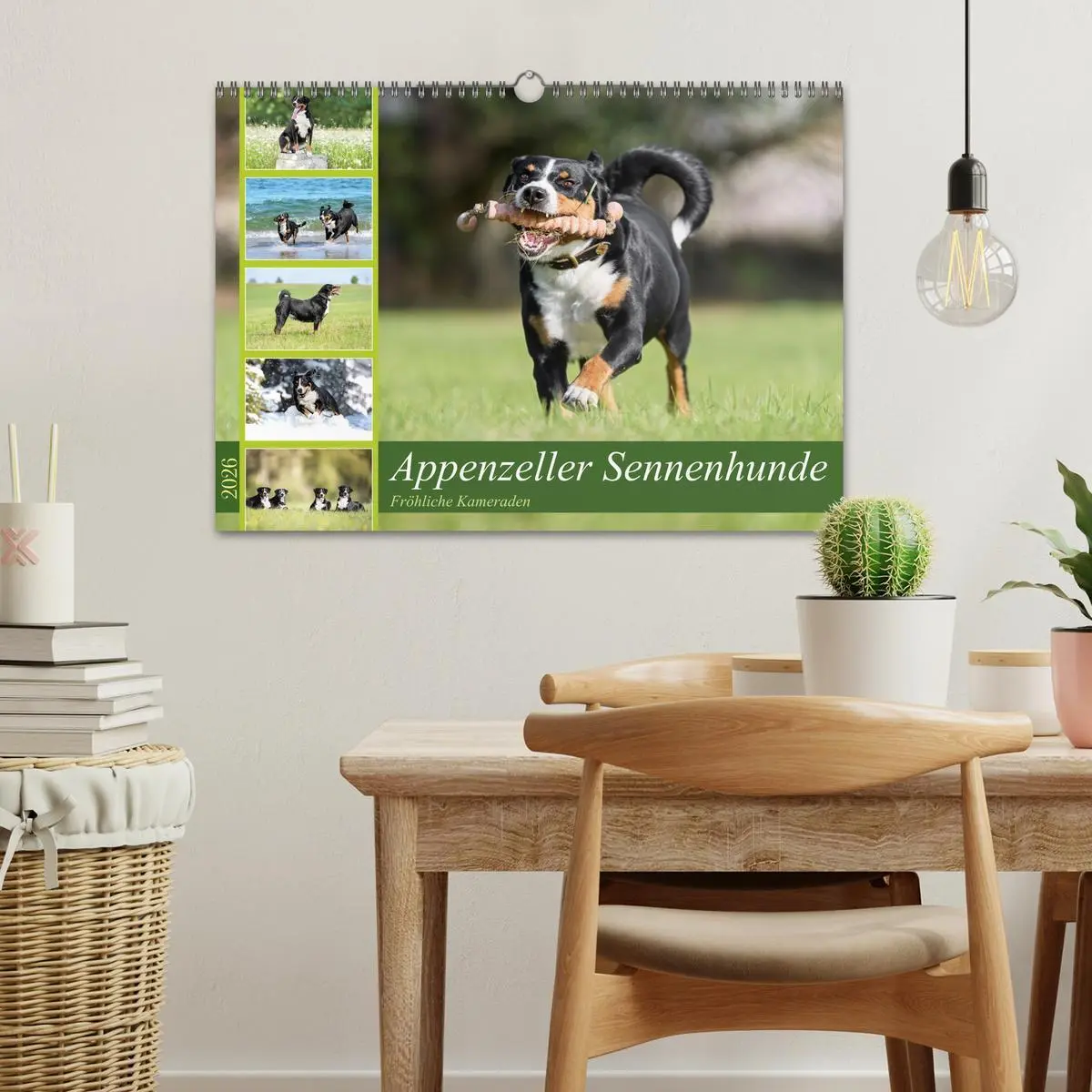 Bild: 9783457483374 | Appenzeller Sennenhunde - Fröhliche Kameraden (Wandkalender 2026...